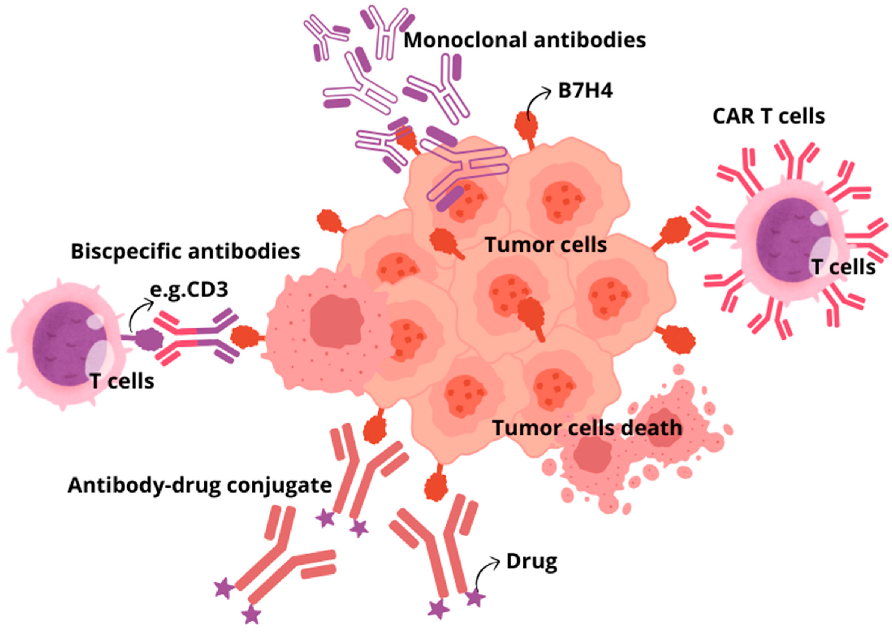 Cancers 16 02519 g003
