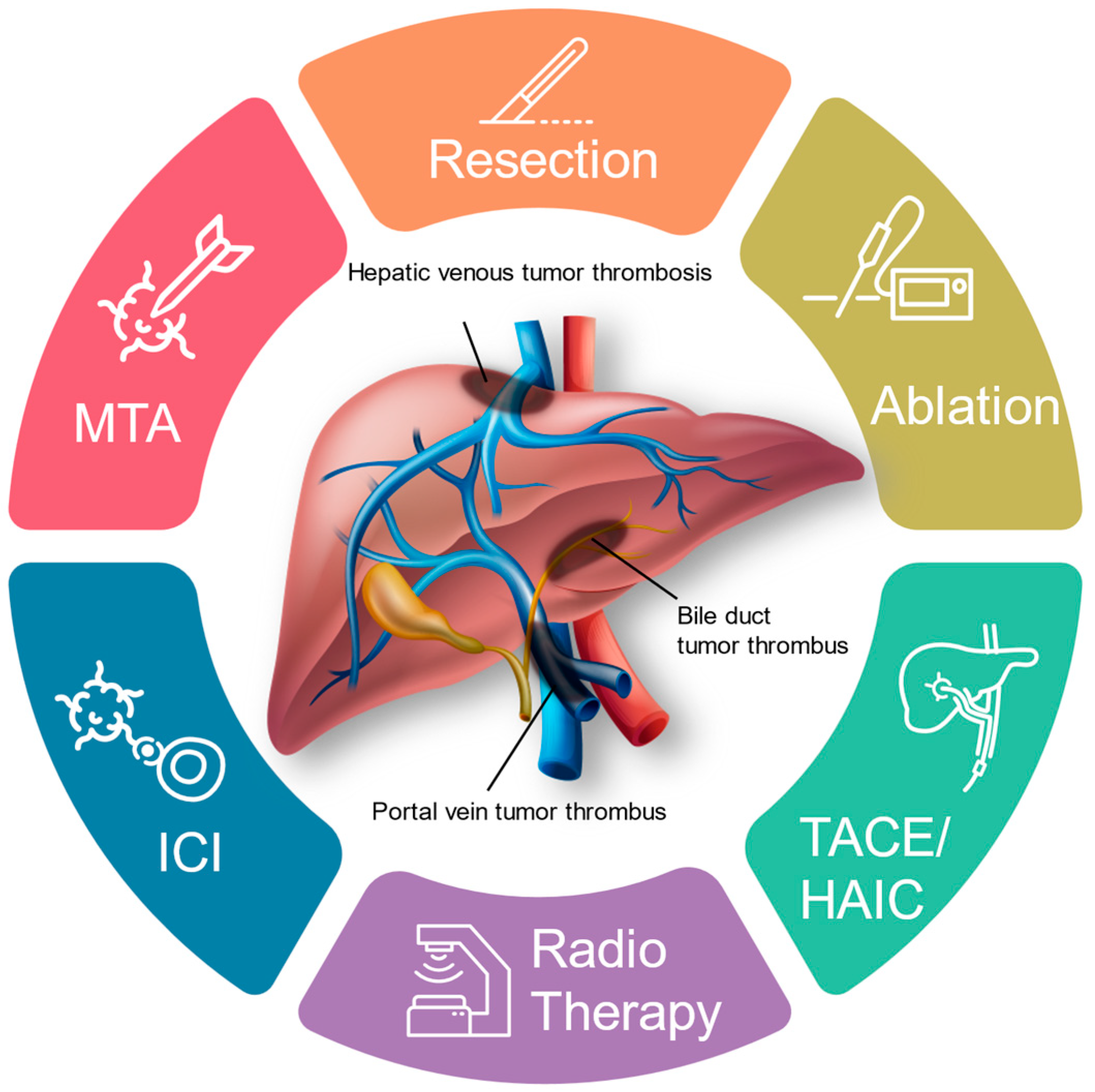 Cancers 16 02534 g001