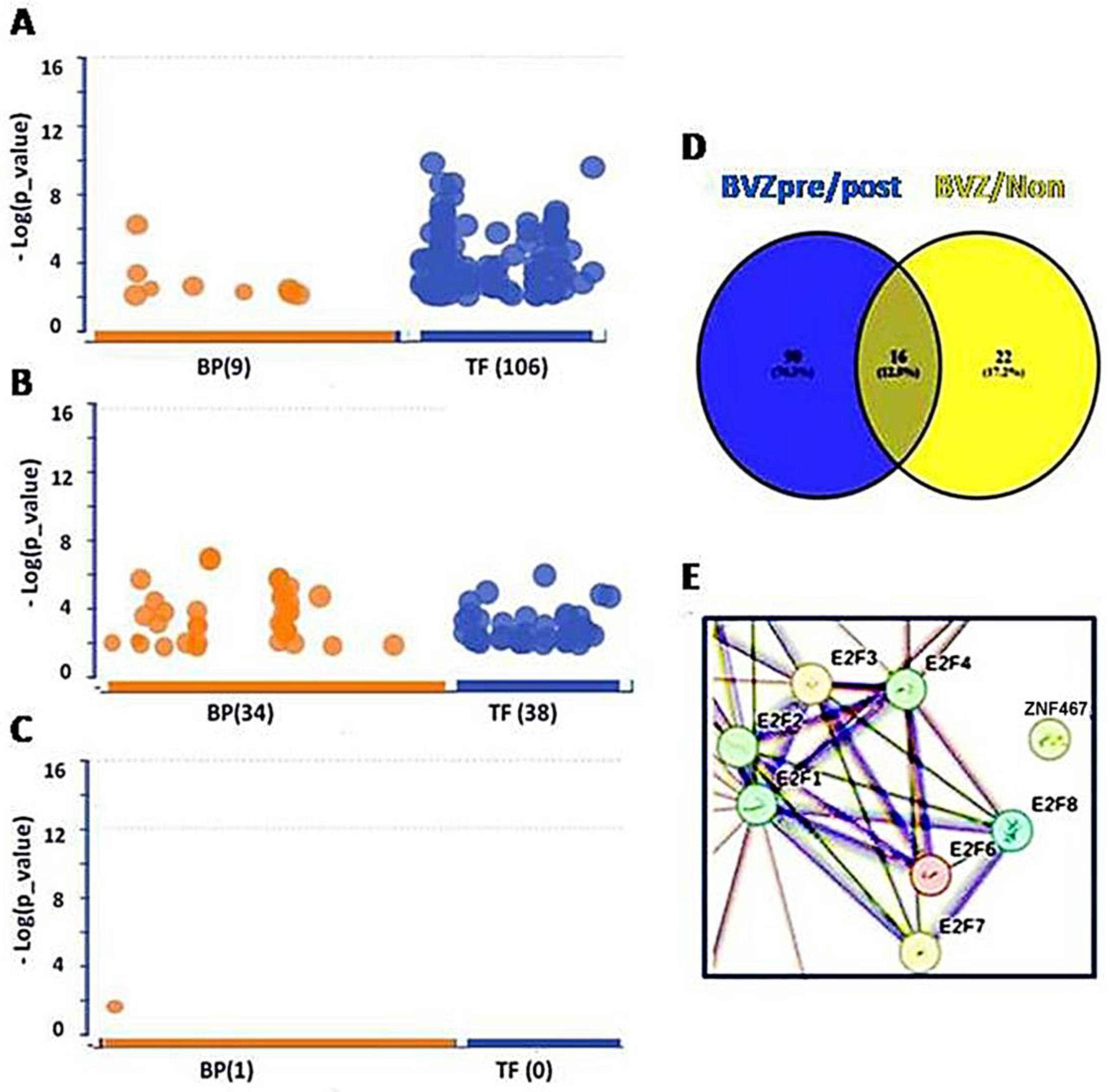 Cancers 16 02536 g001 Cancers 16 02536 g001