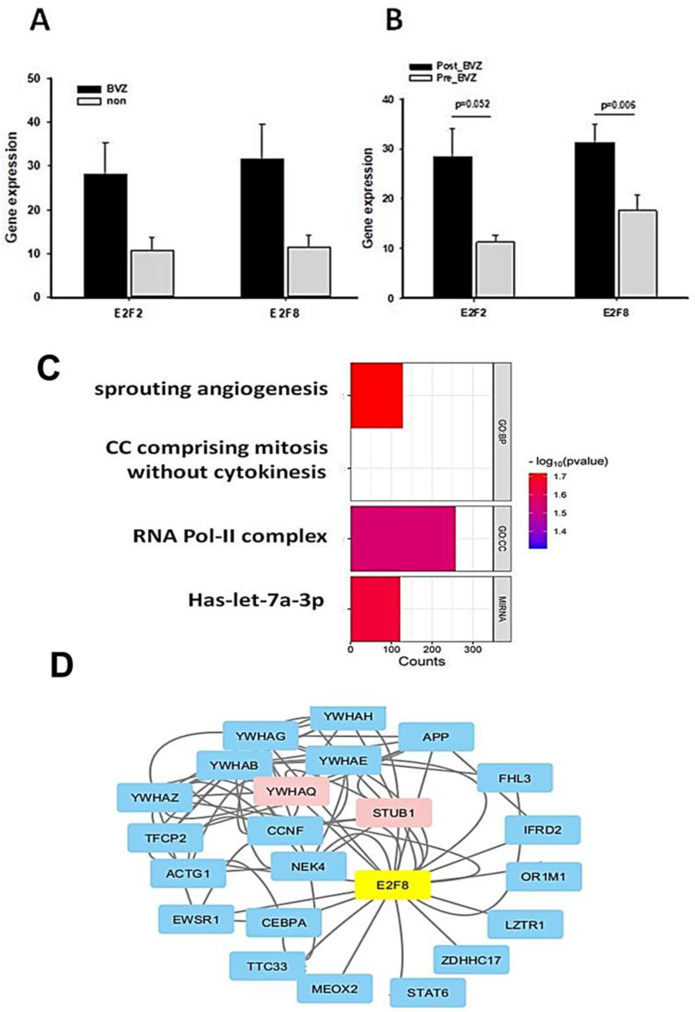 Cancers 16 02536 g005 Cancers 16 02536 g005