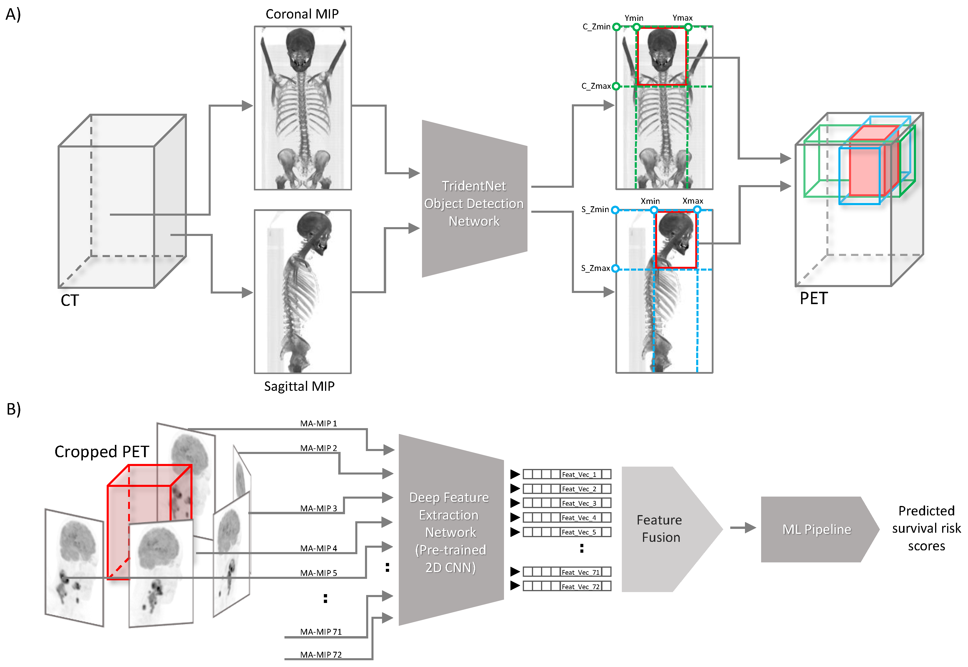 Cancers 16 02538 g001