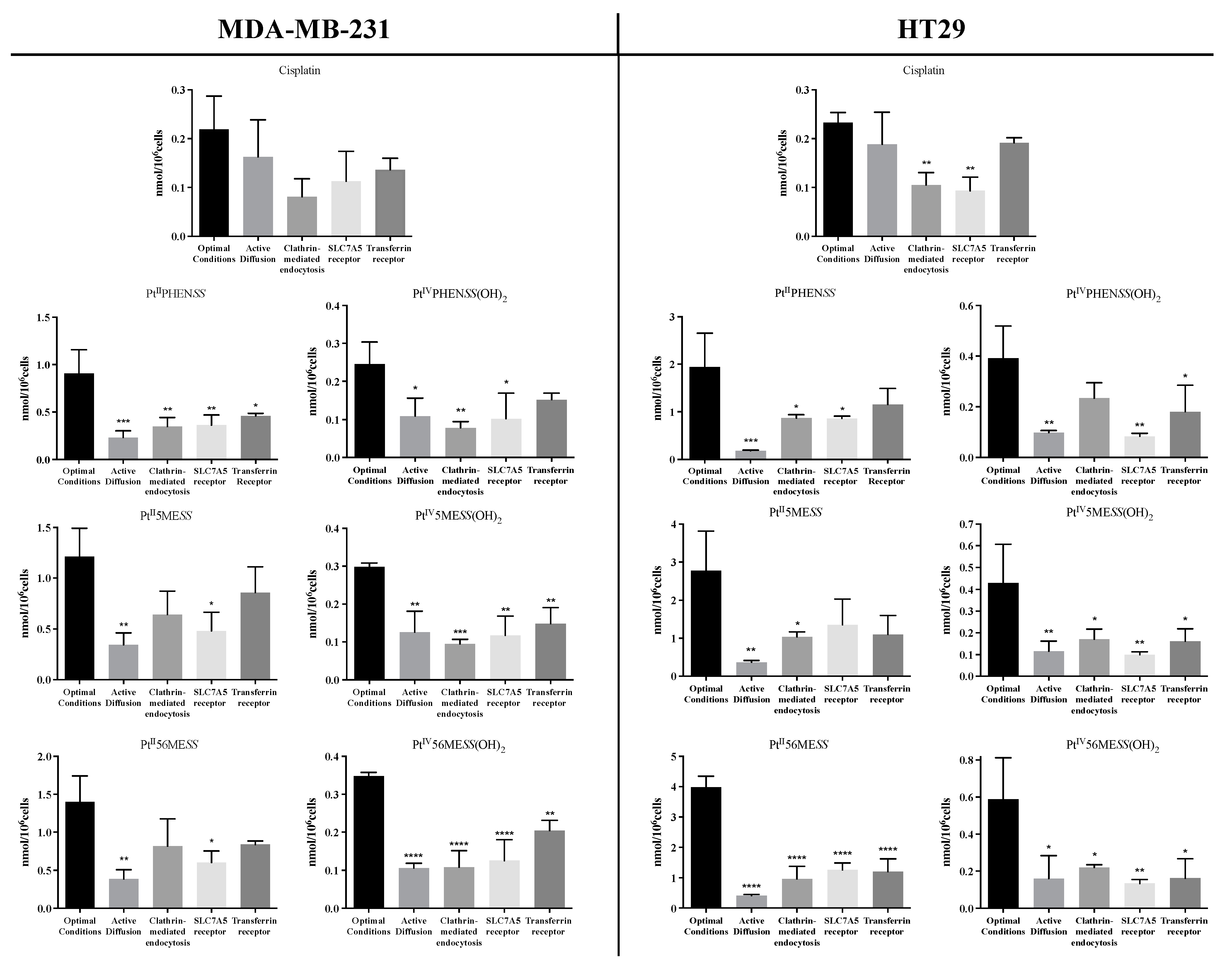 Cancers 16 02544 g004