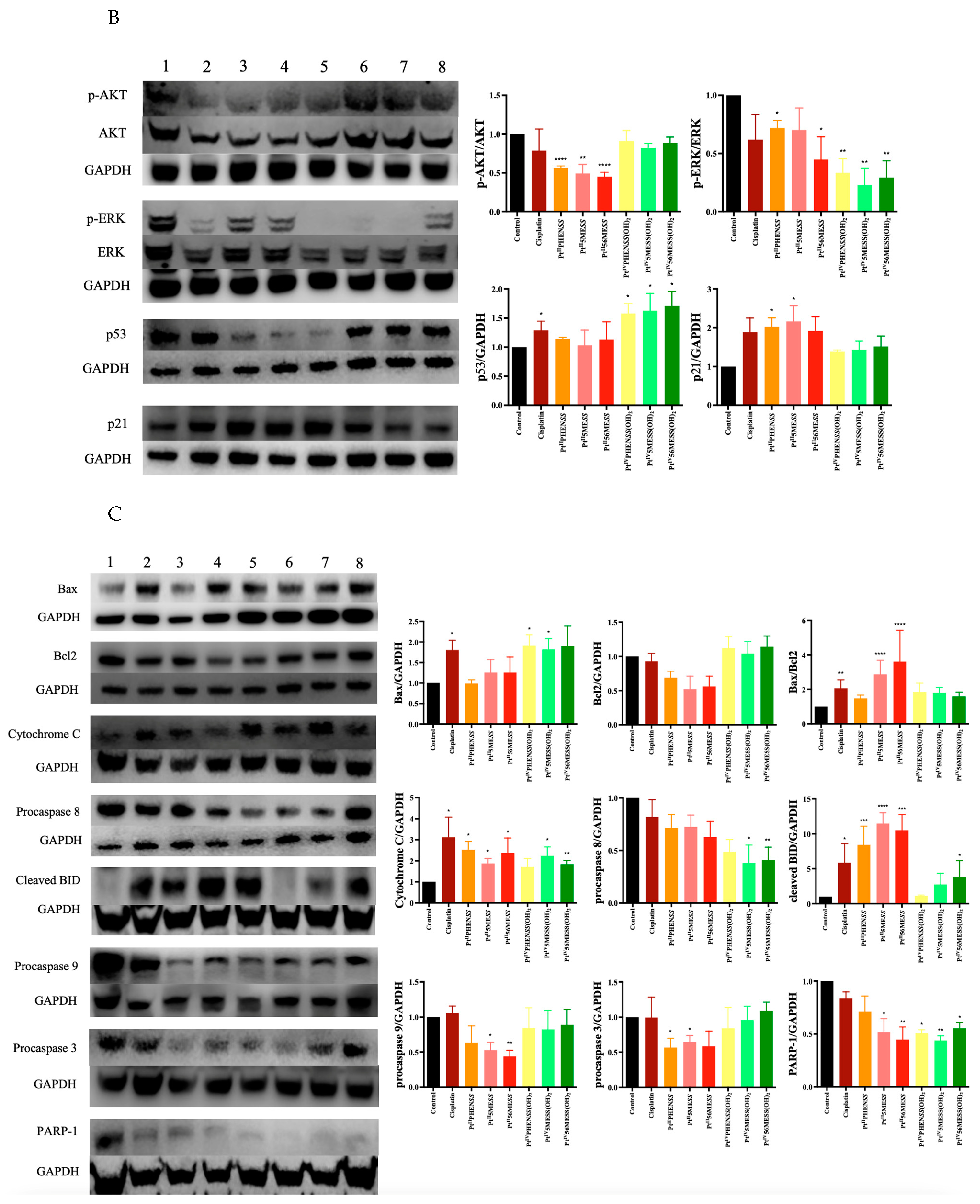 Cancers 16 02544 g012b