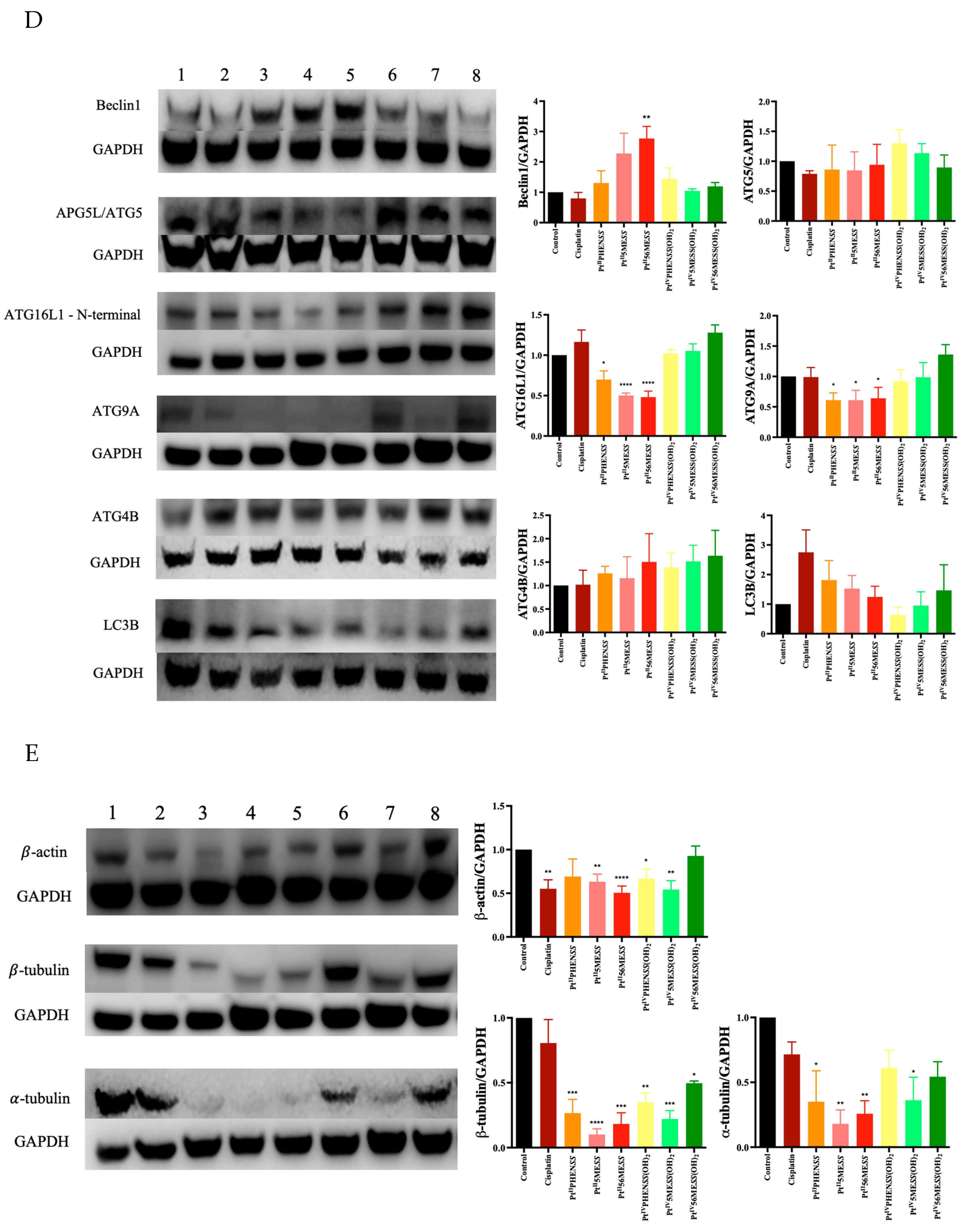 Cancers 16 02544 g012c