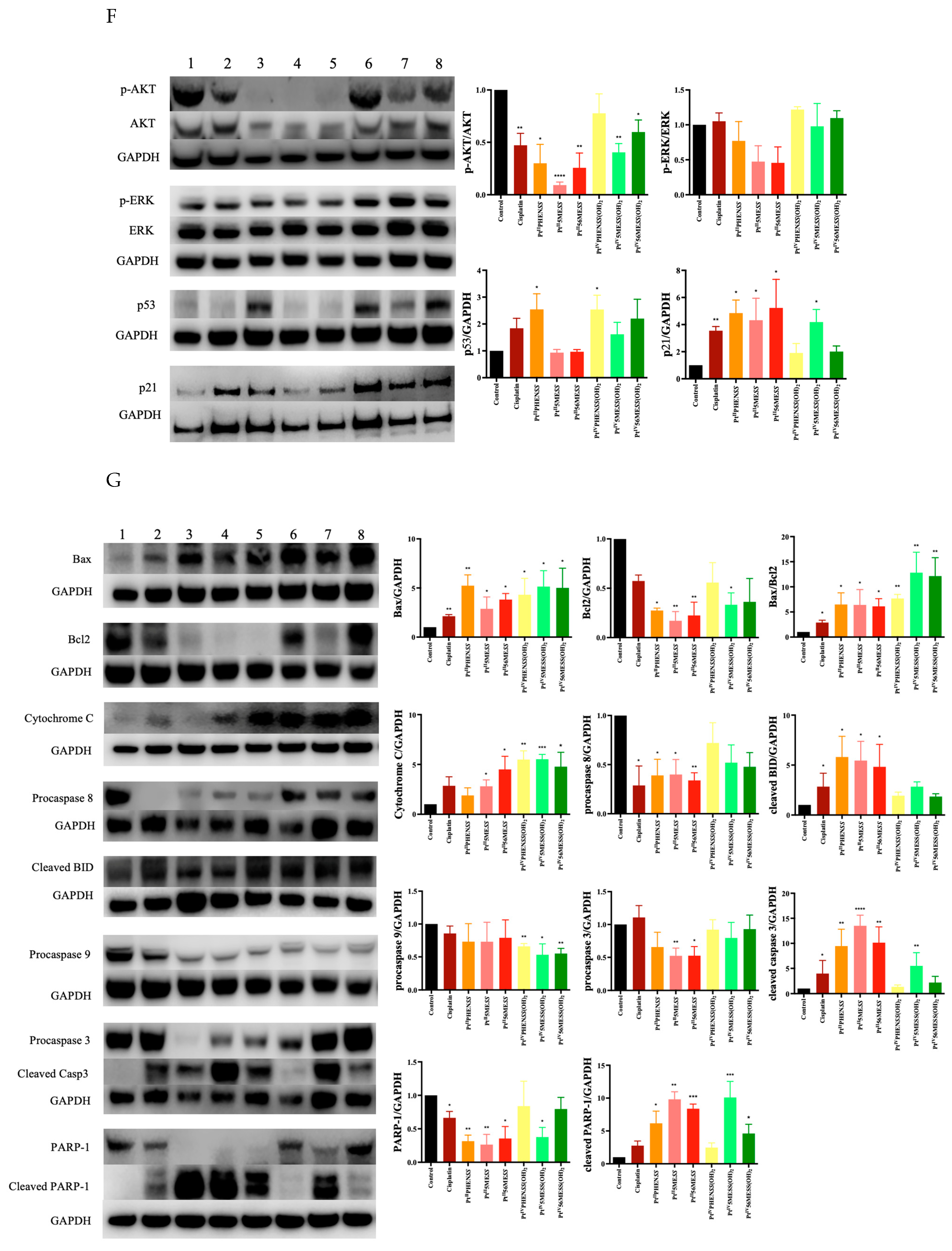 Cancers 16 02544 g012d