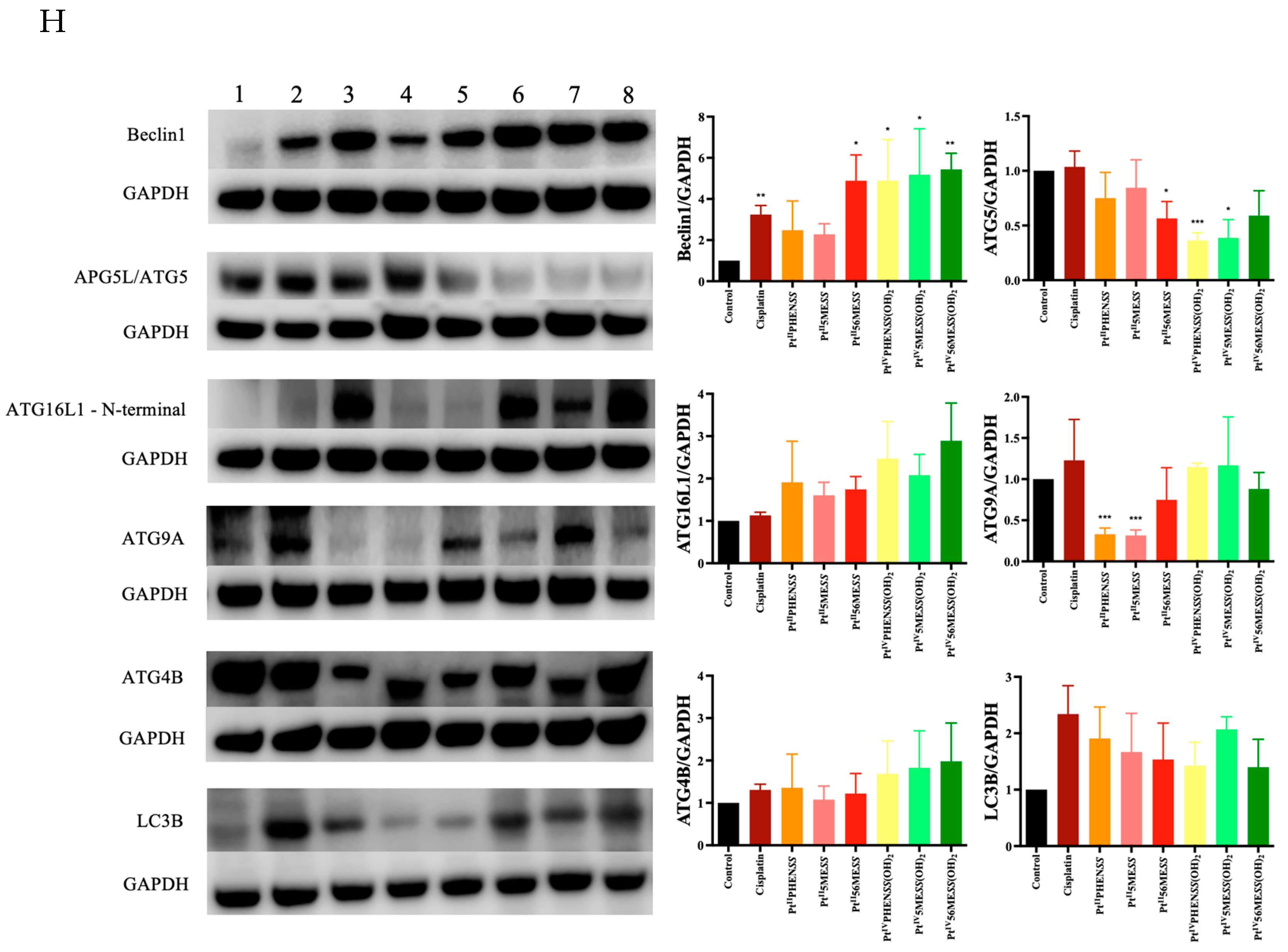 Cancers 16 02544 g012e