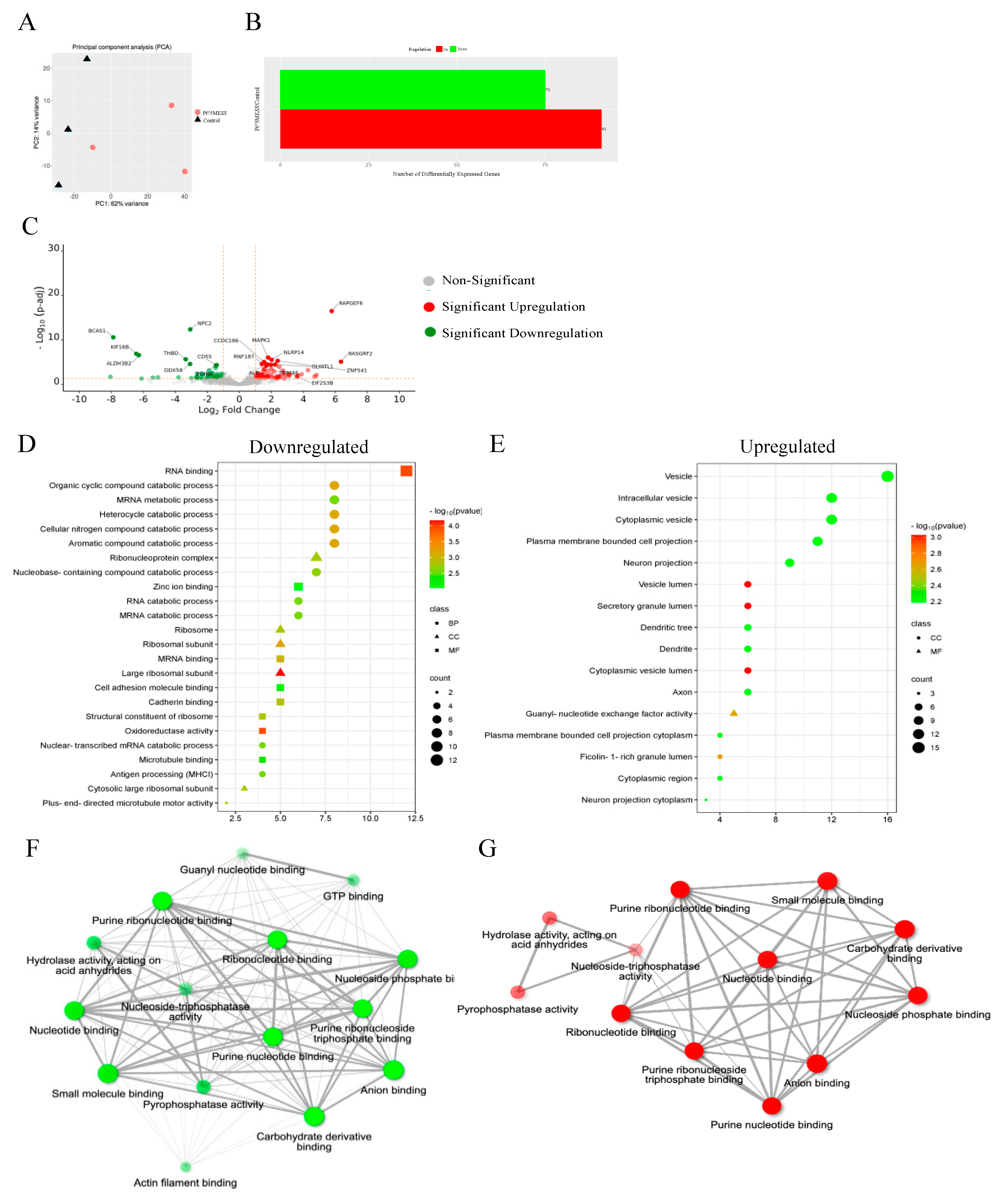 Cancers 16 02544 g014a