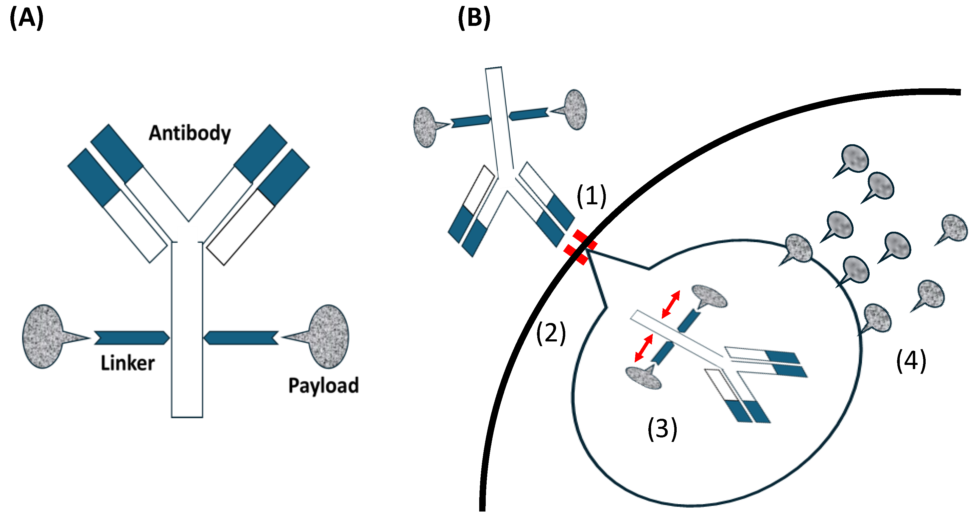Cancers 16 02545 g001