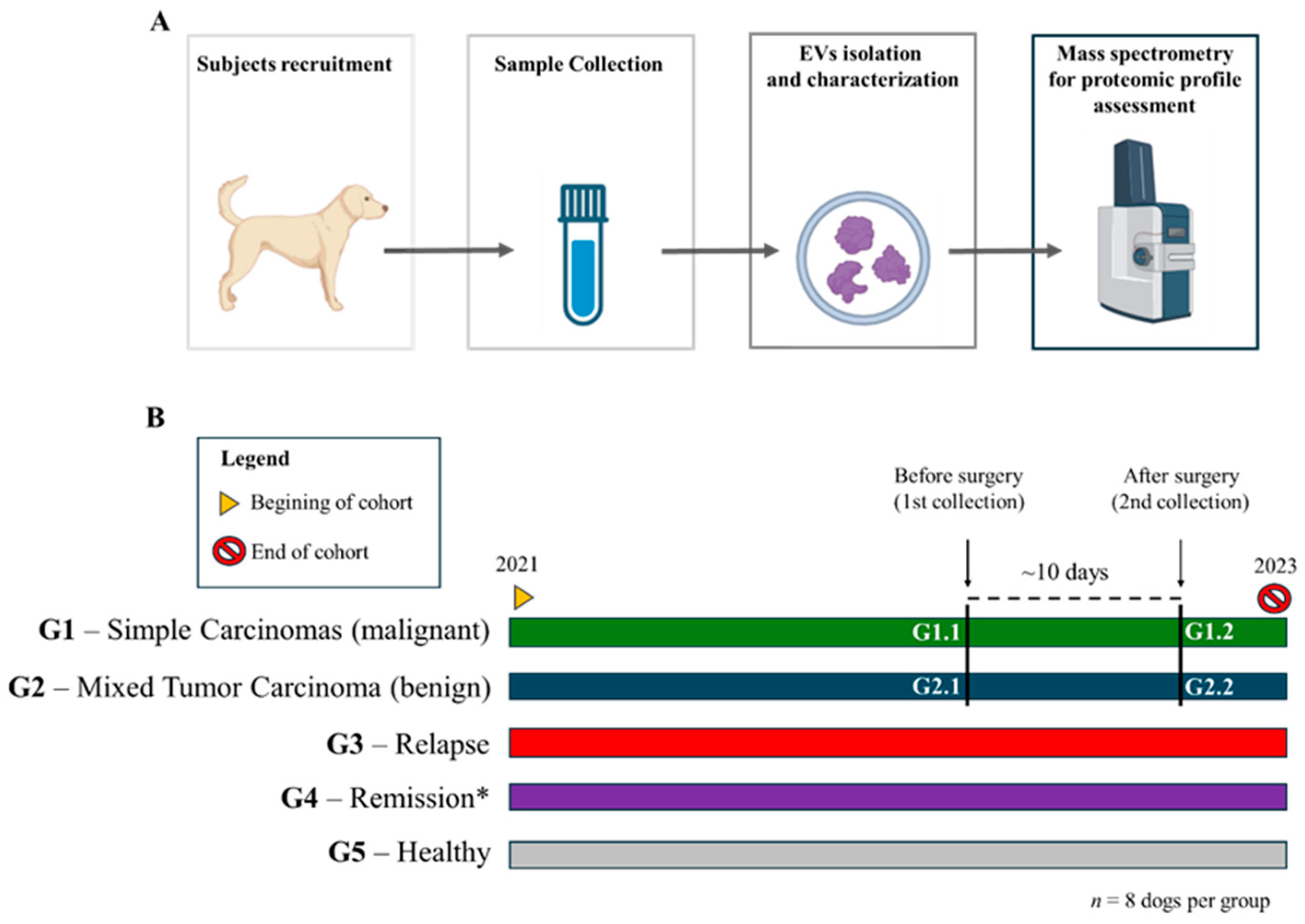 Cancers 16 02562 g001