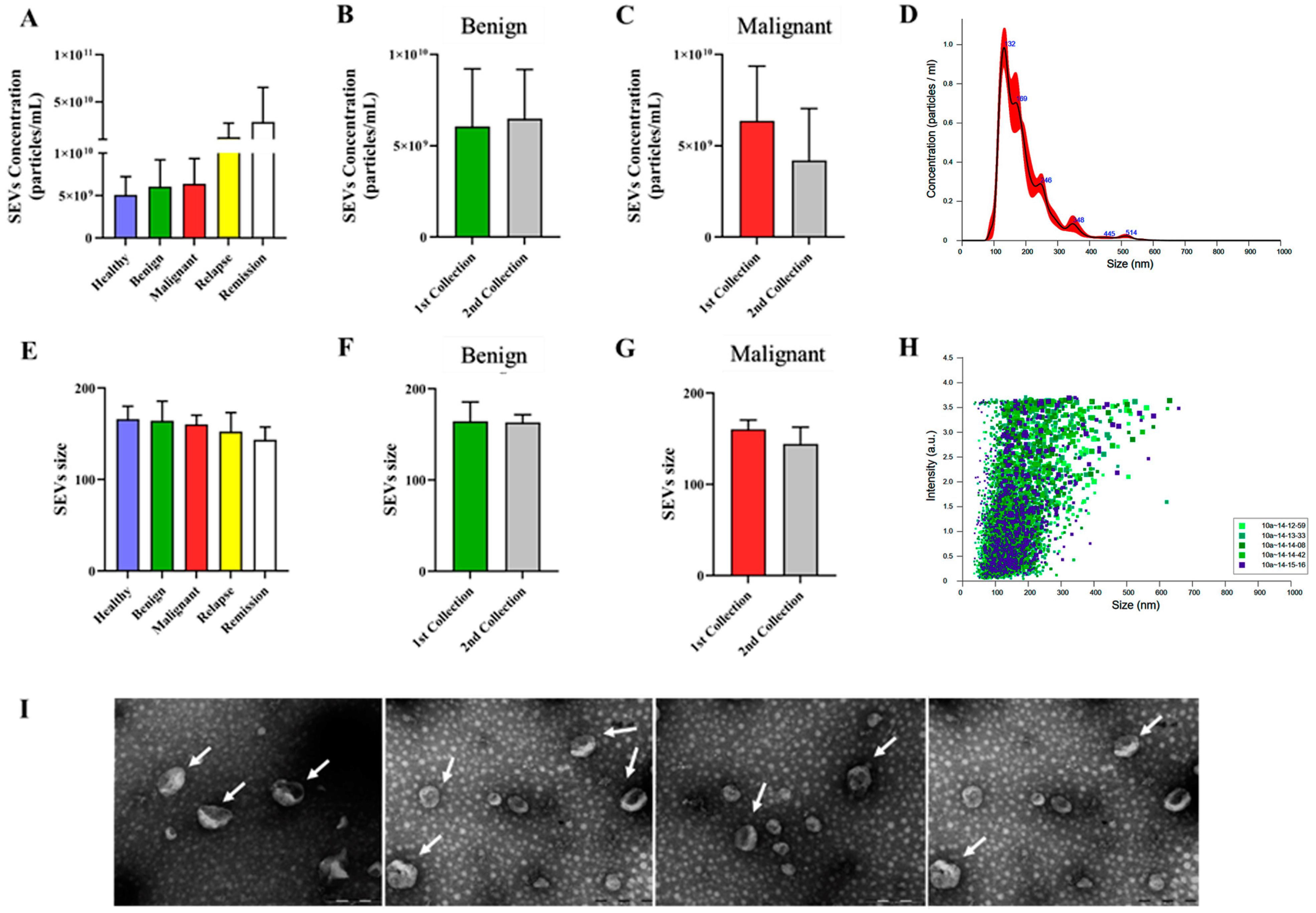 Cancers 16 02562 g002
