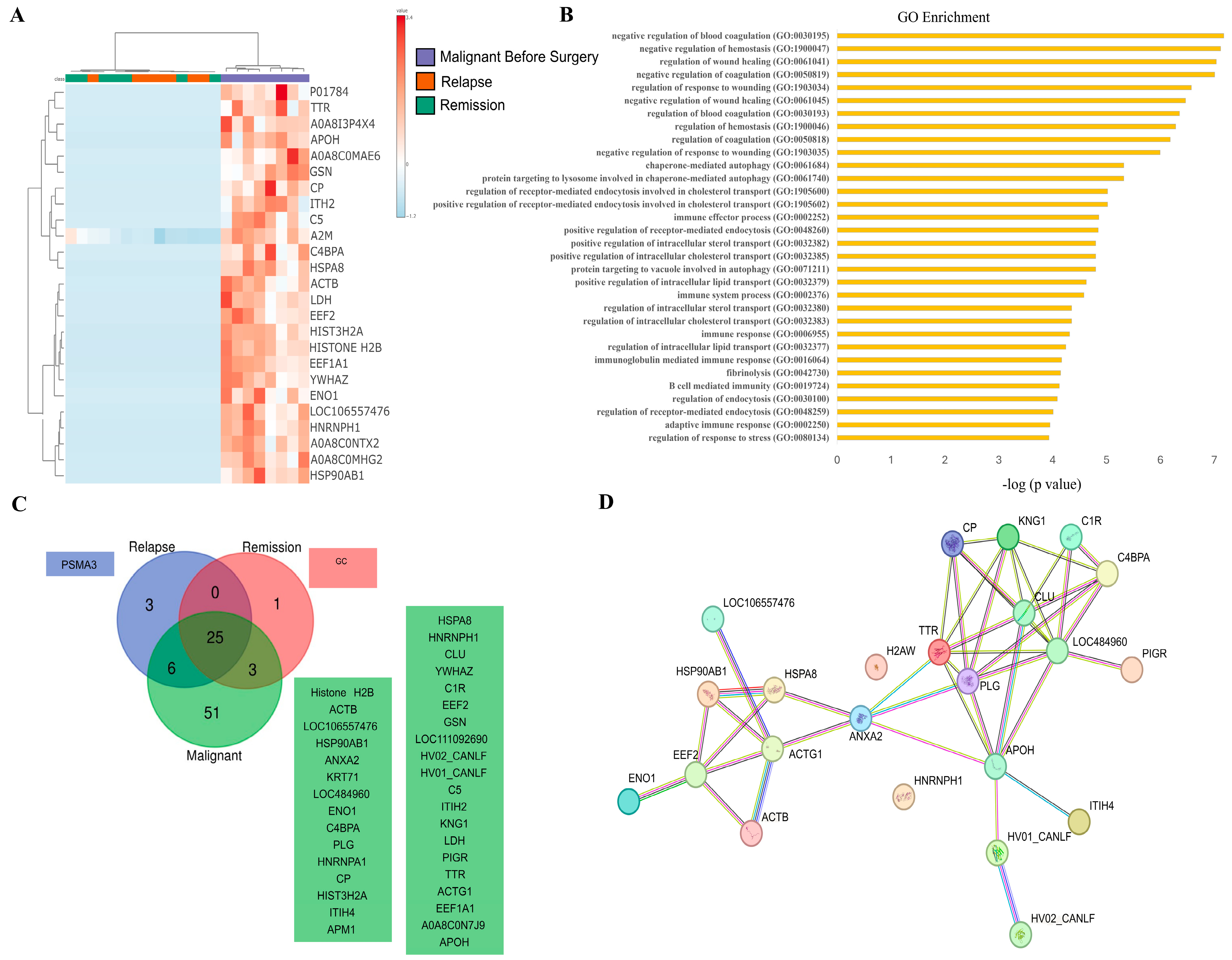 Cancers 16 02562 g005