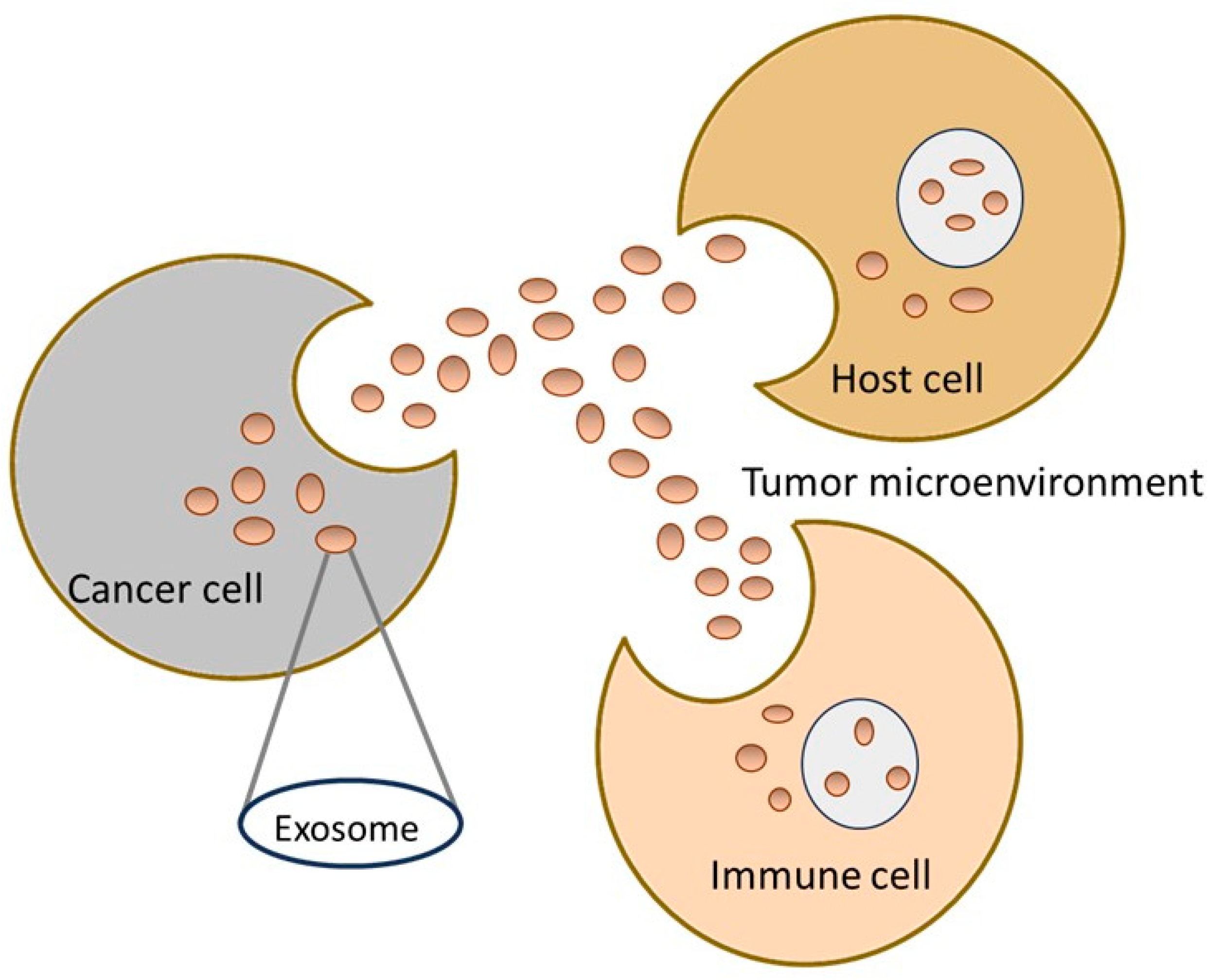 Cancers 16 02574 g001 Cancers 16 02574 g001