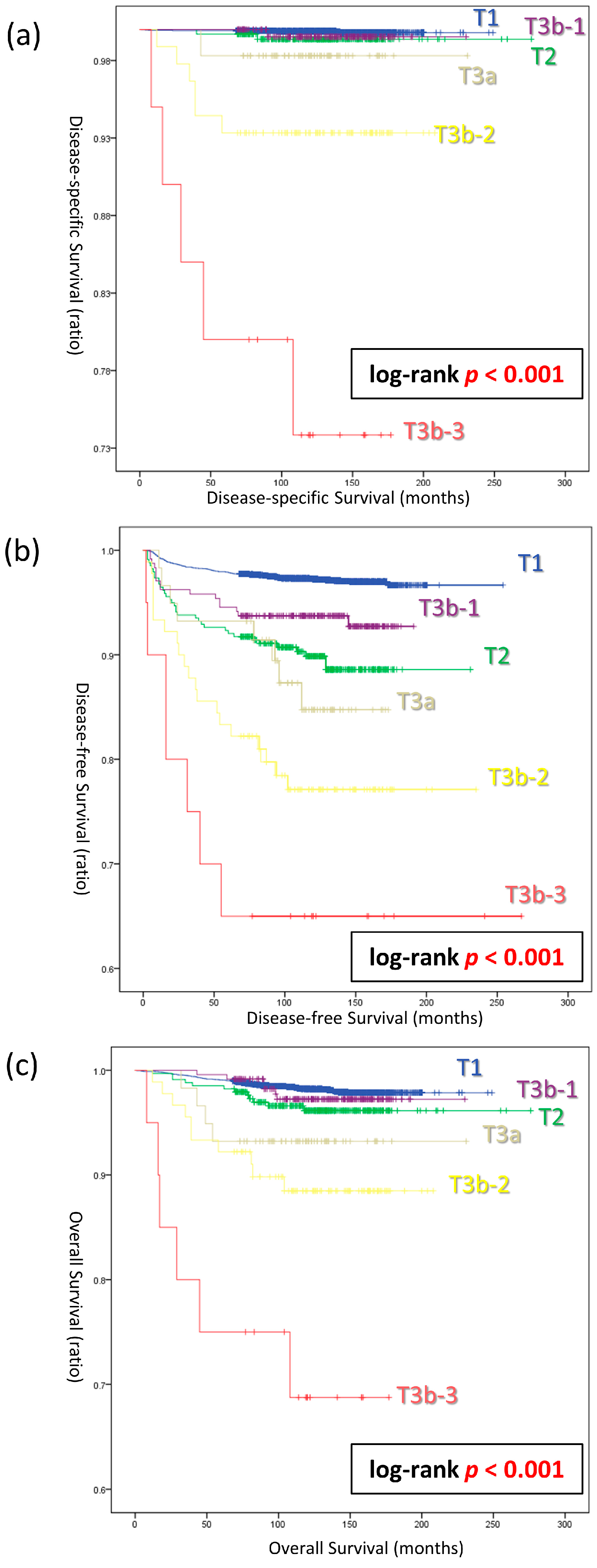 Cancers 16 02577 g002