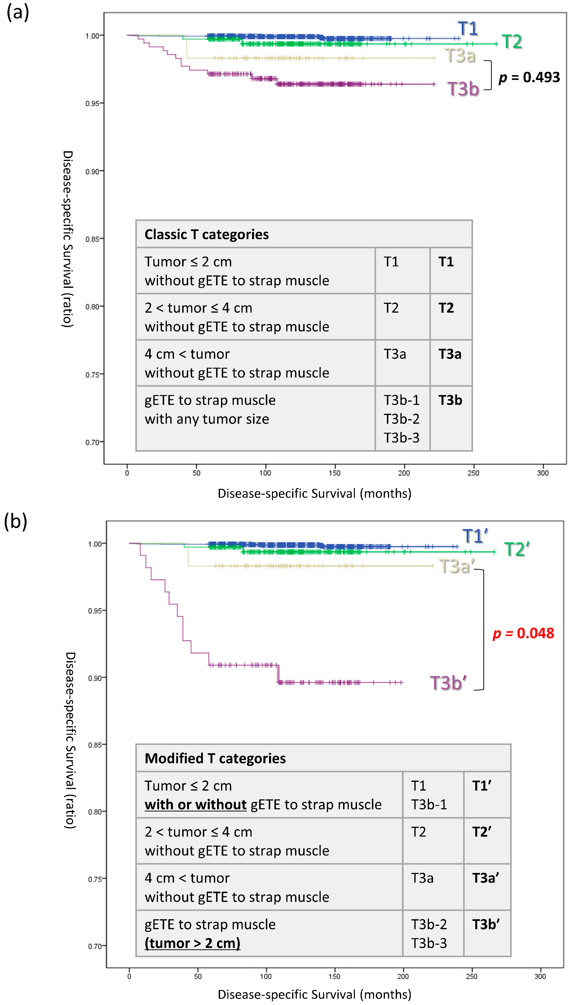 Cancers 16 02577 g003
