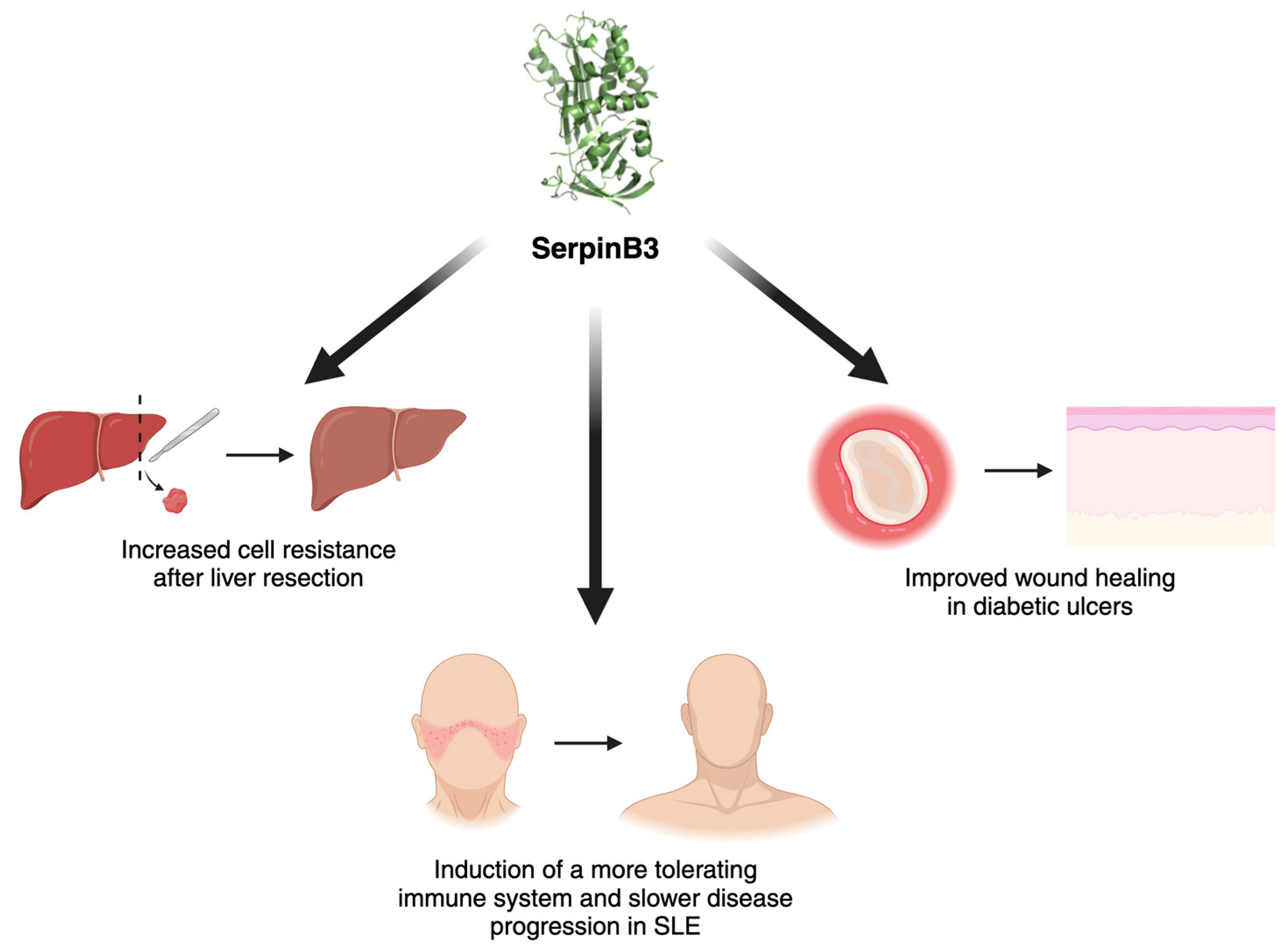 Cancers 16 02579 g003 Cancers 16 02579 g003