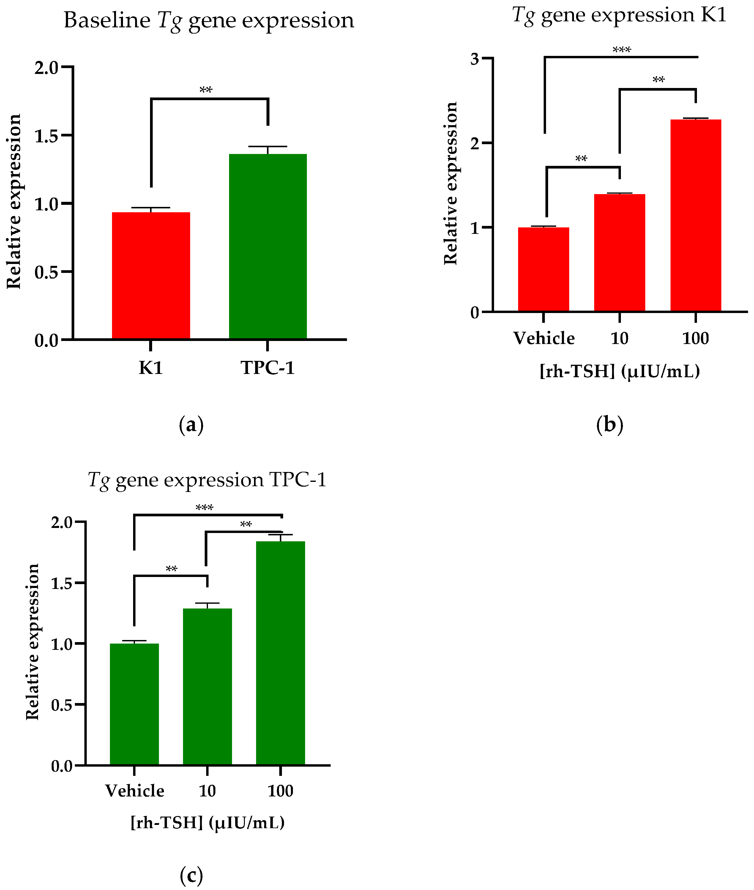 Cancers 16 02604 g001