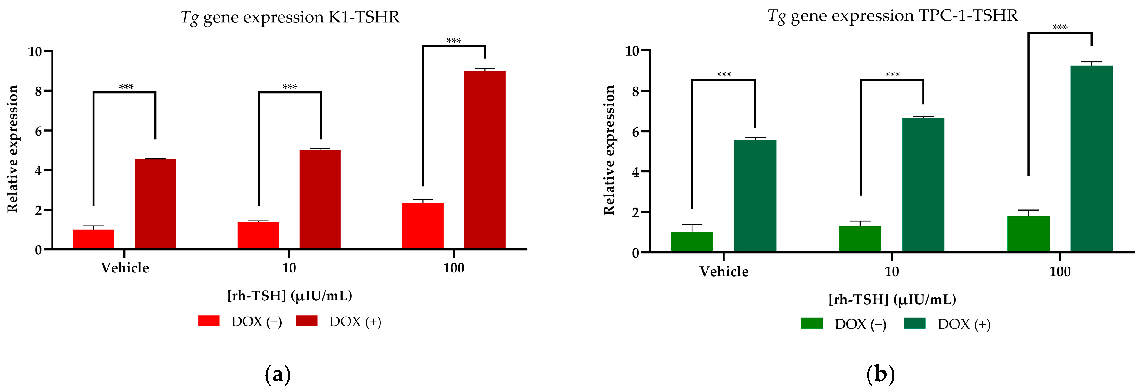 Cancers 16 02604 g005