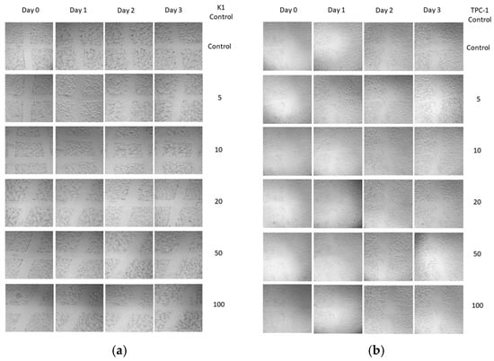 Cancers 16 02604 g0a3