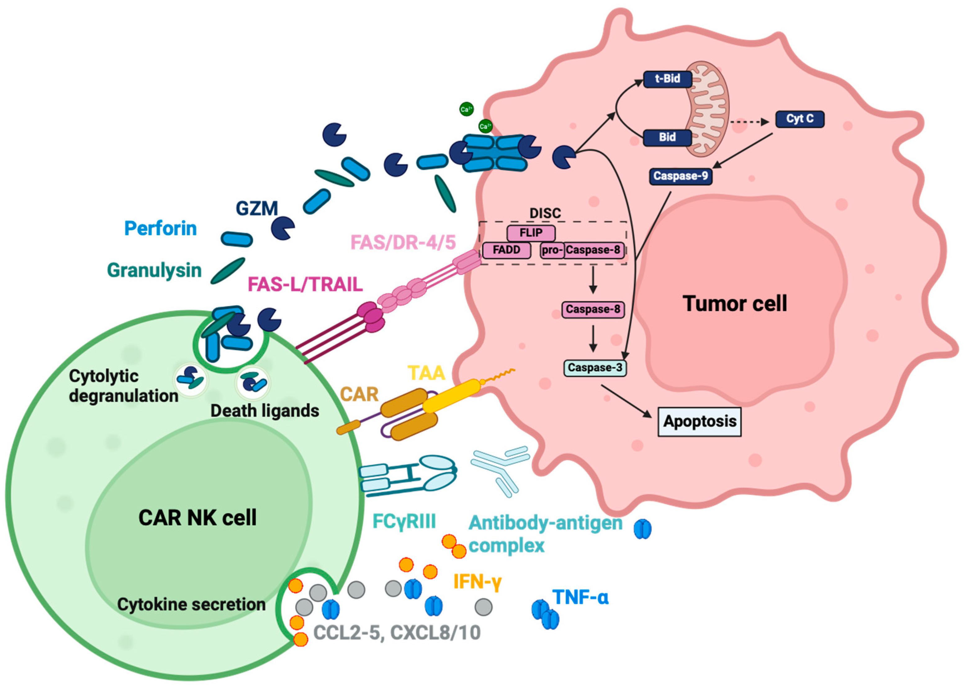 Cancers 16 02608 g003 Cancers 16 02608 g003
