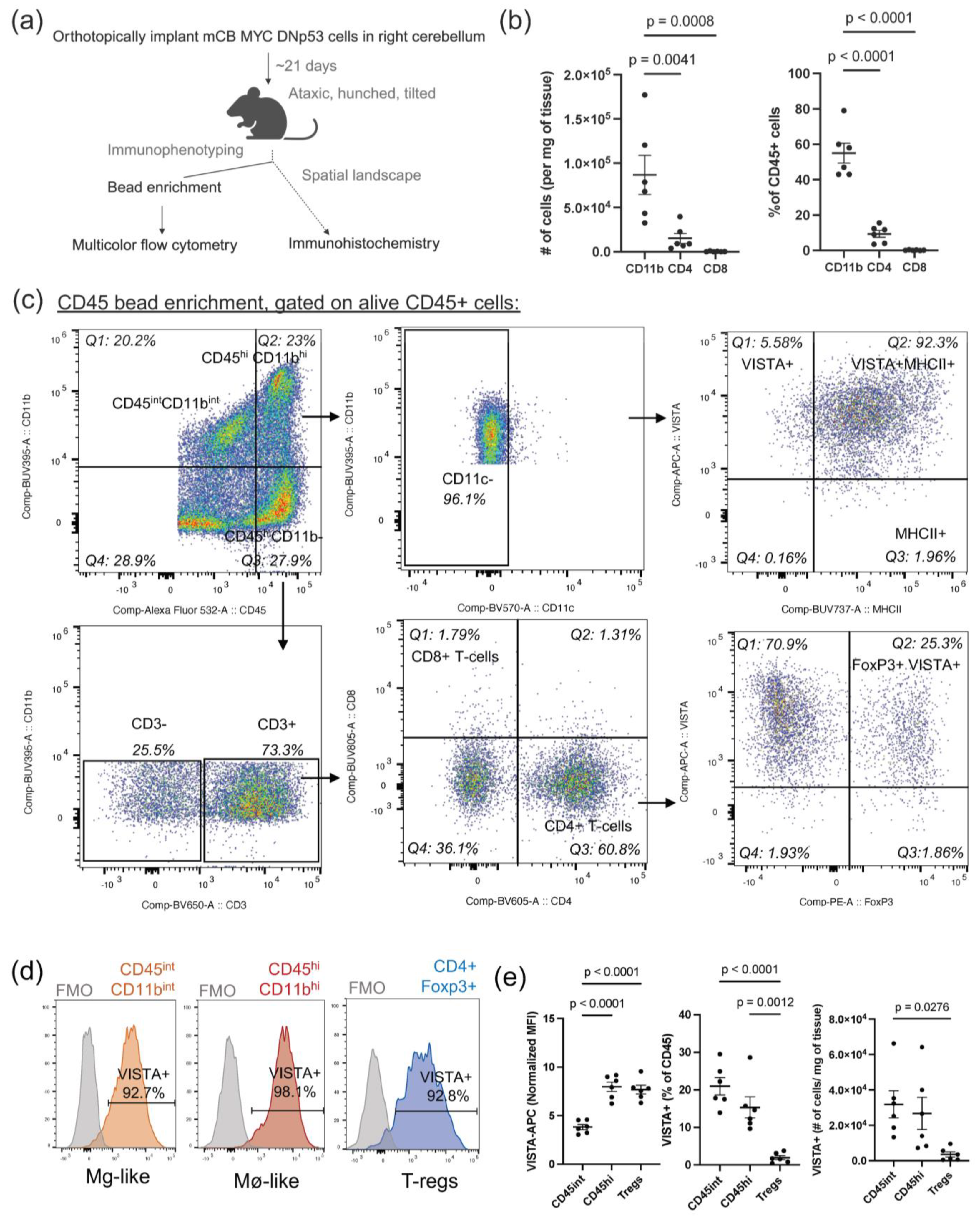 Cancers 16 02629 g001