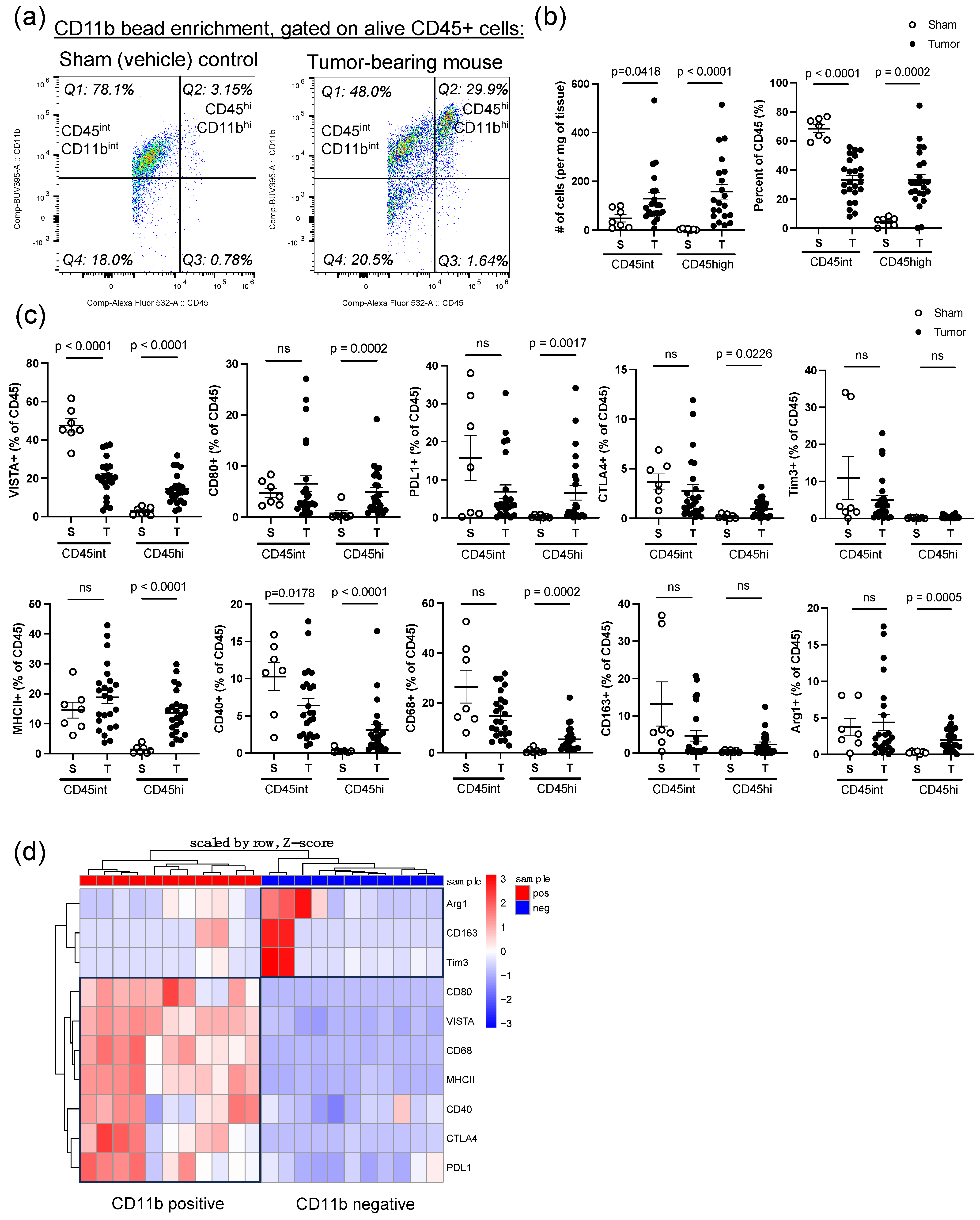 Cancers 16 02629 g002