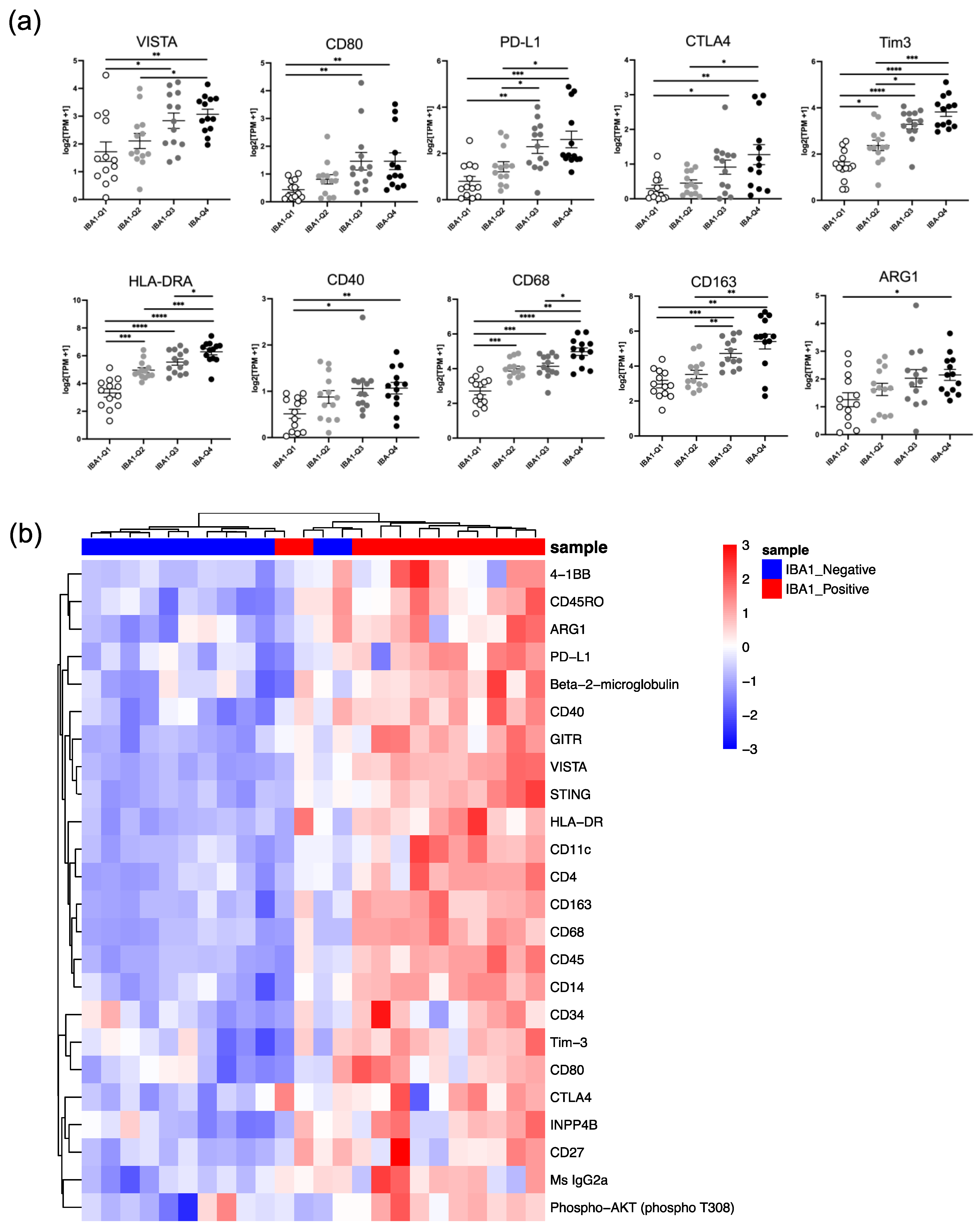 Cancers 16 02629 g006