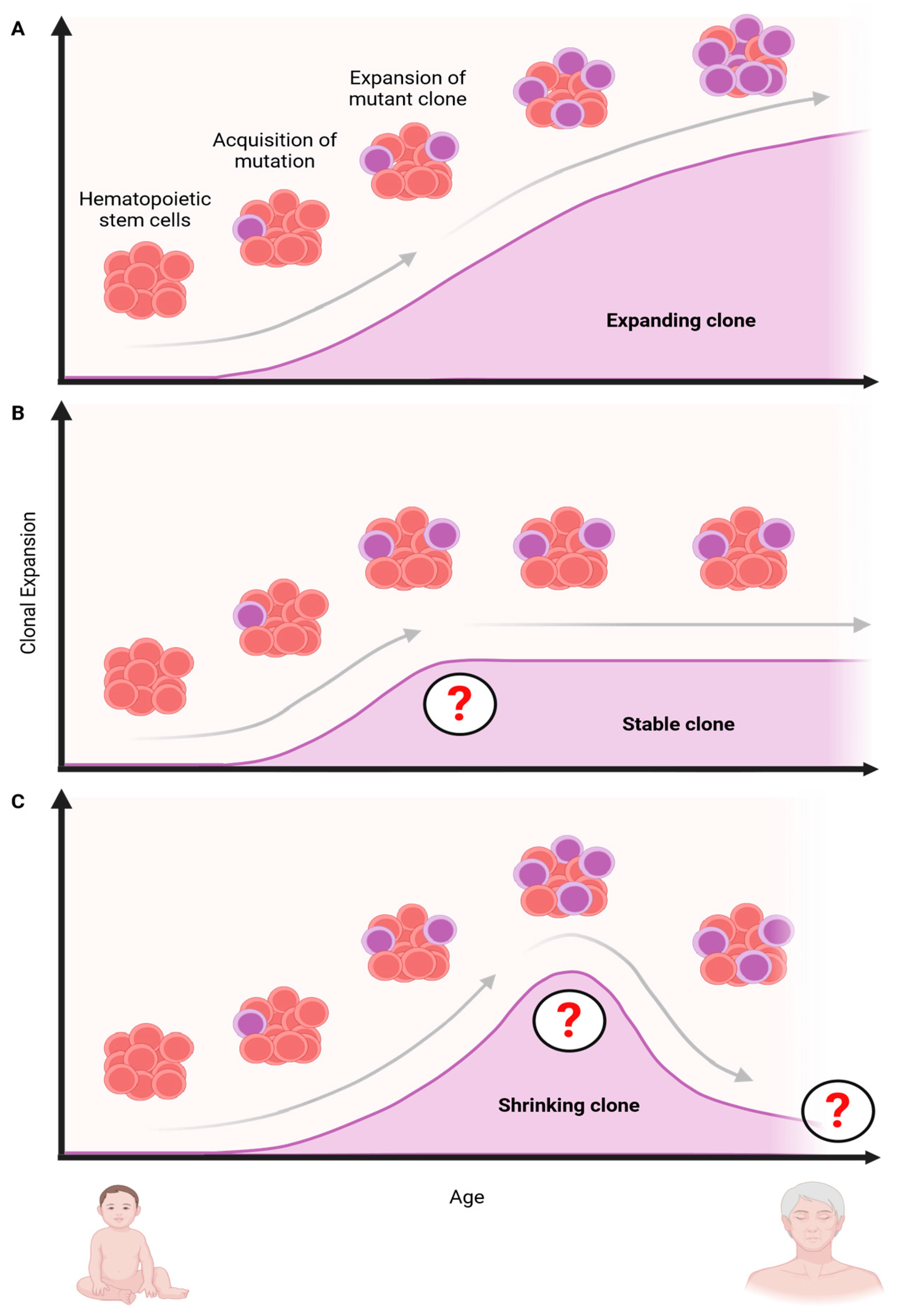 Cancers 16 02634 g003