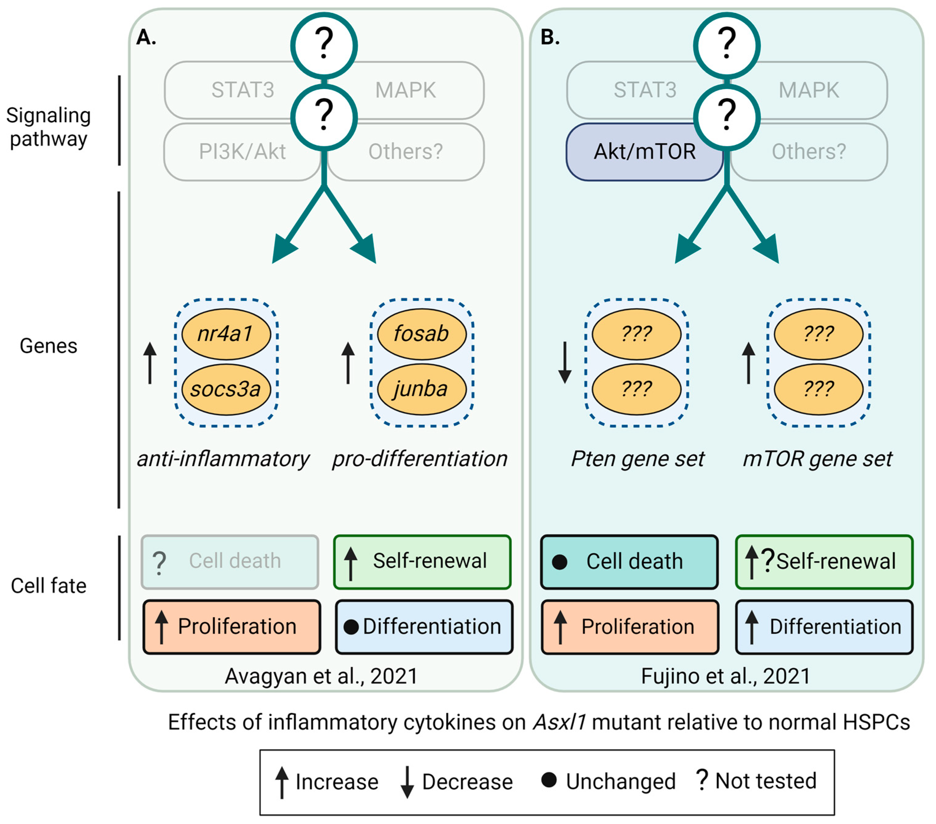 Cancers 16 02634 g005