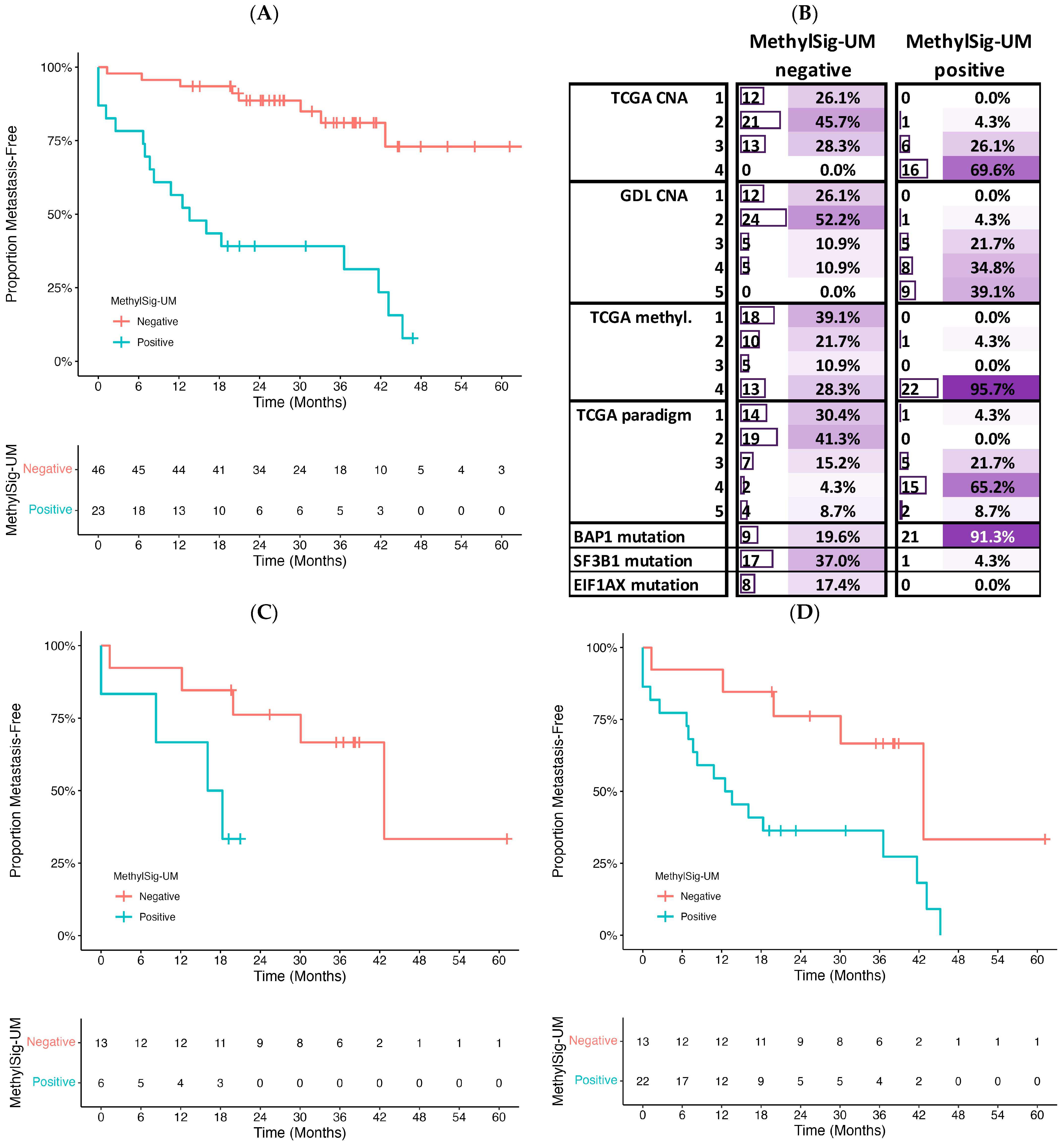 Cancers 16 02650 g004