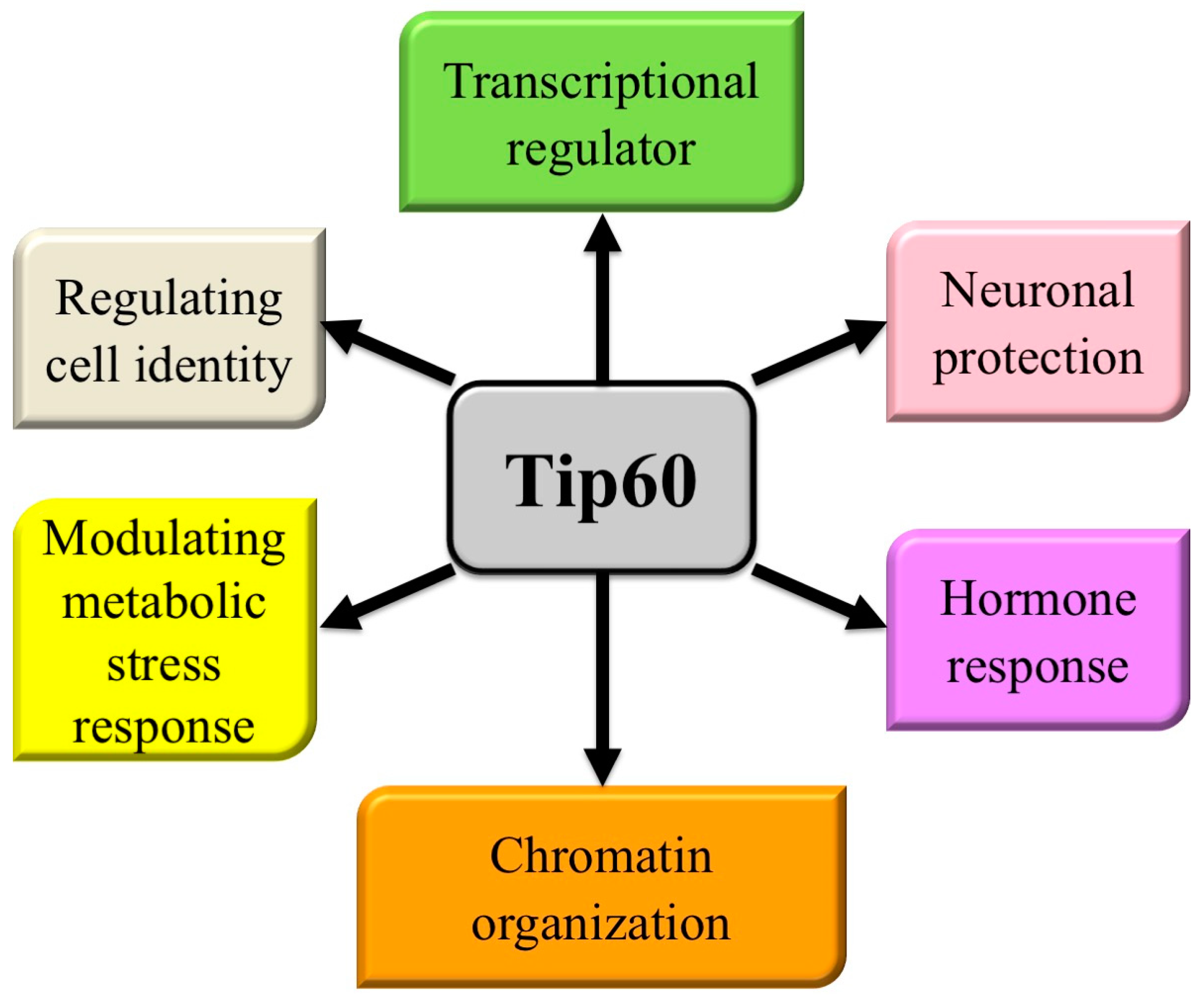 Cancers 16 02677 g001