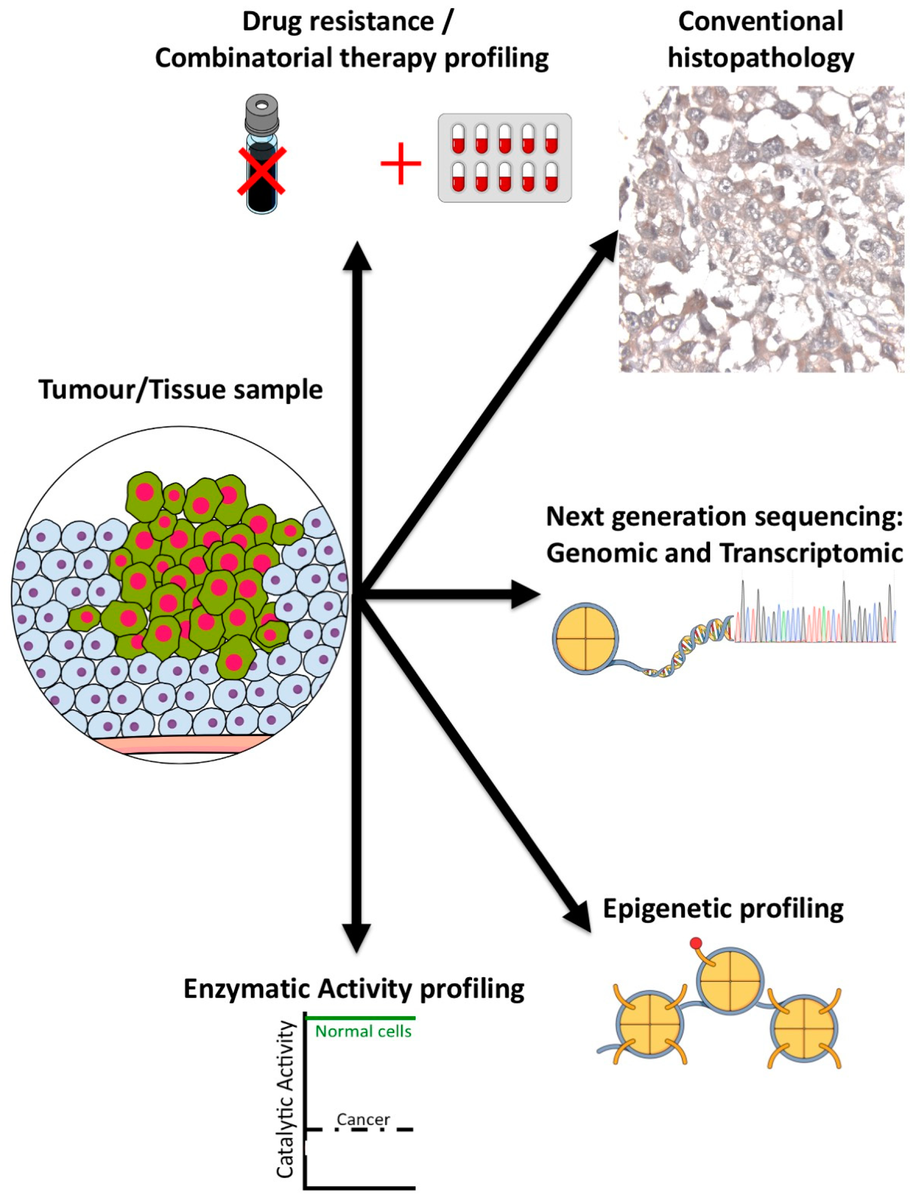 Cancers 16 02677 g005