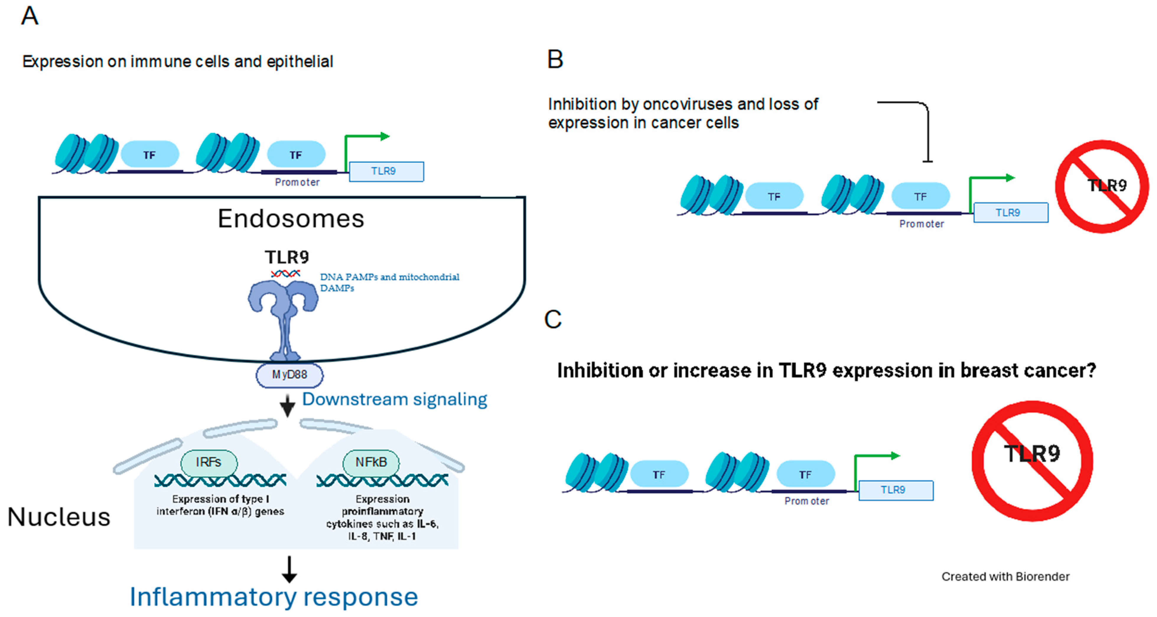 Cancers 16 02679 g002