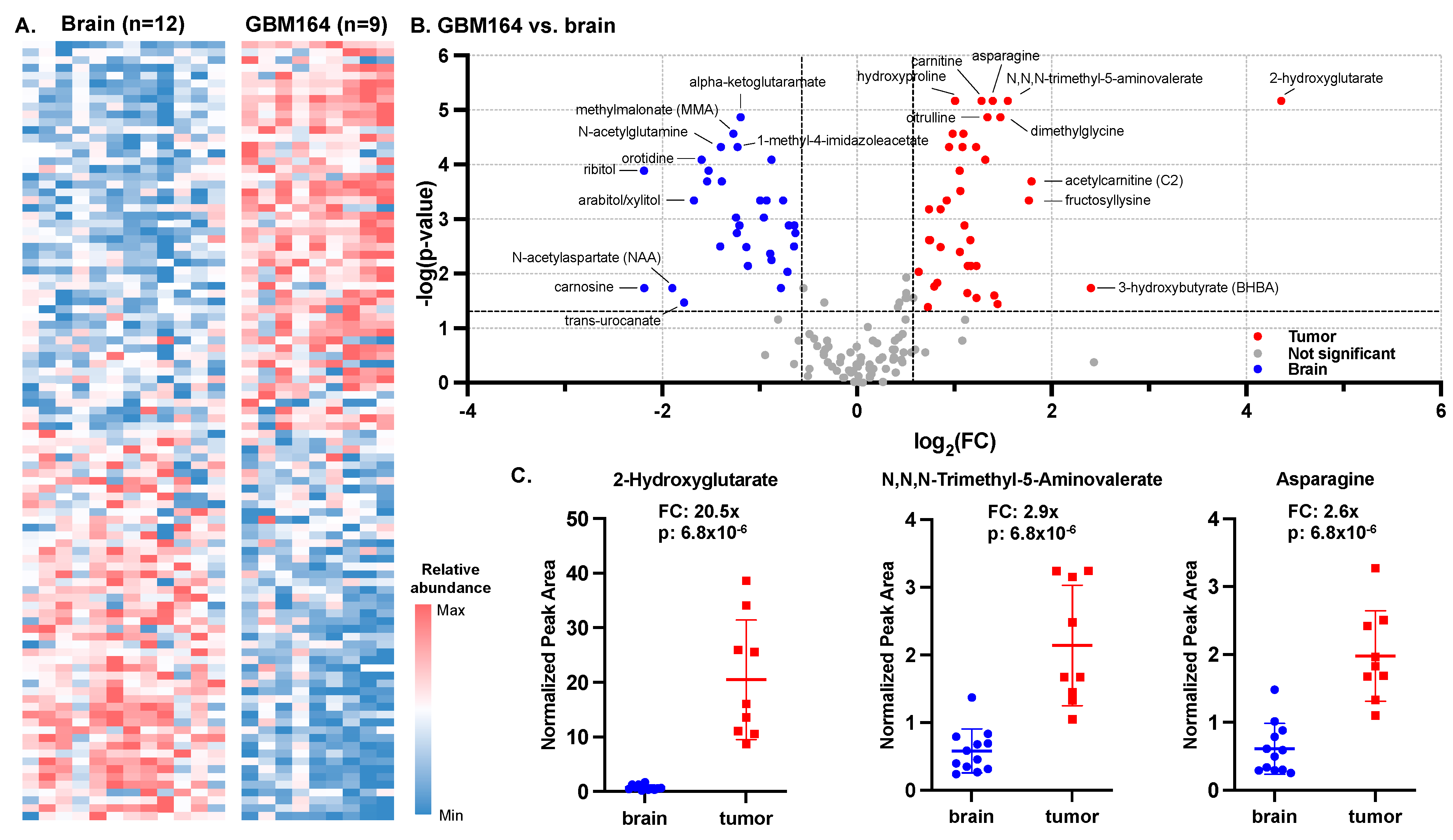 Cancers 16 02705 g002