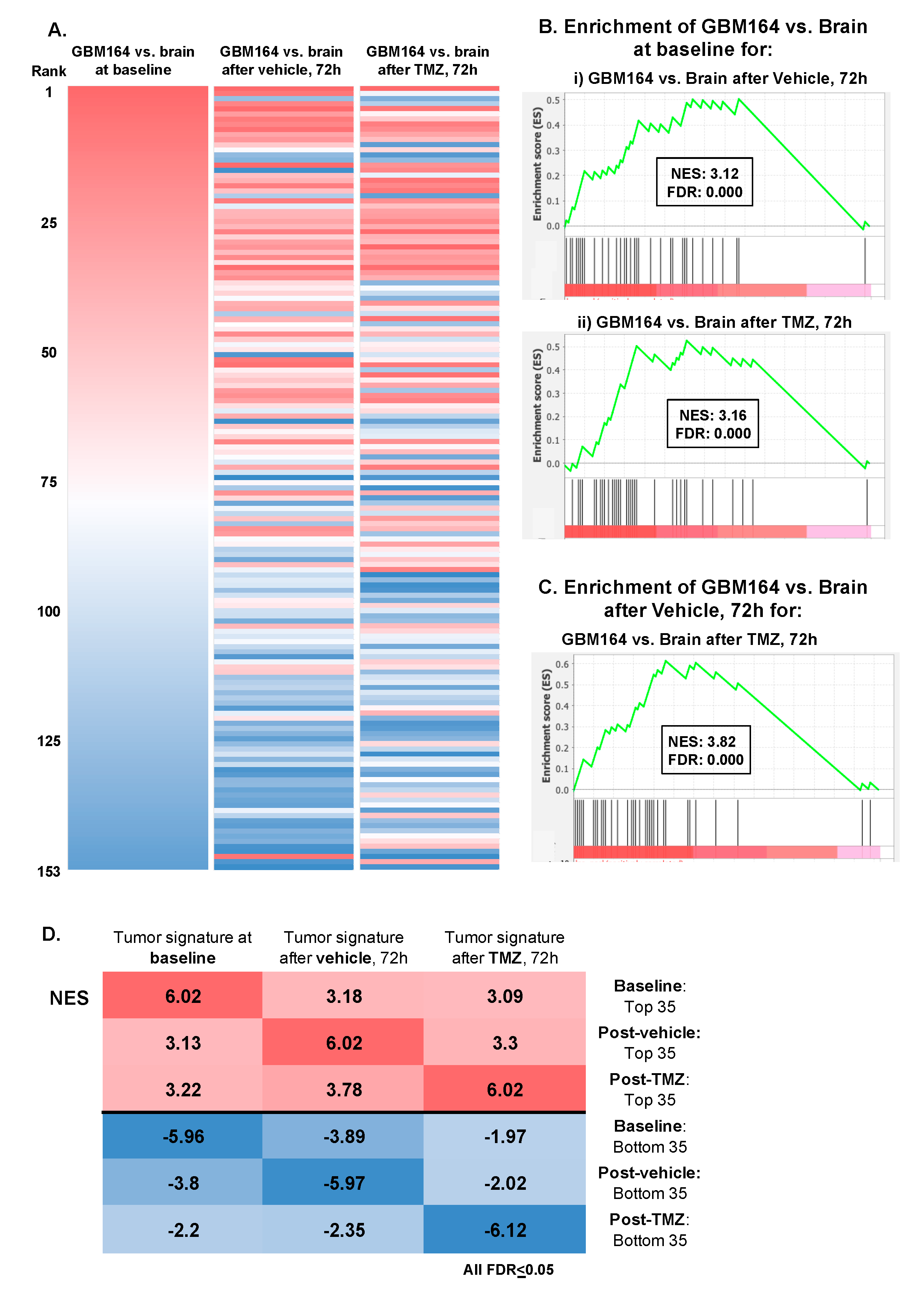 Cancers 16 02705 g004