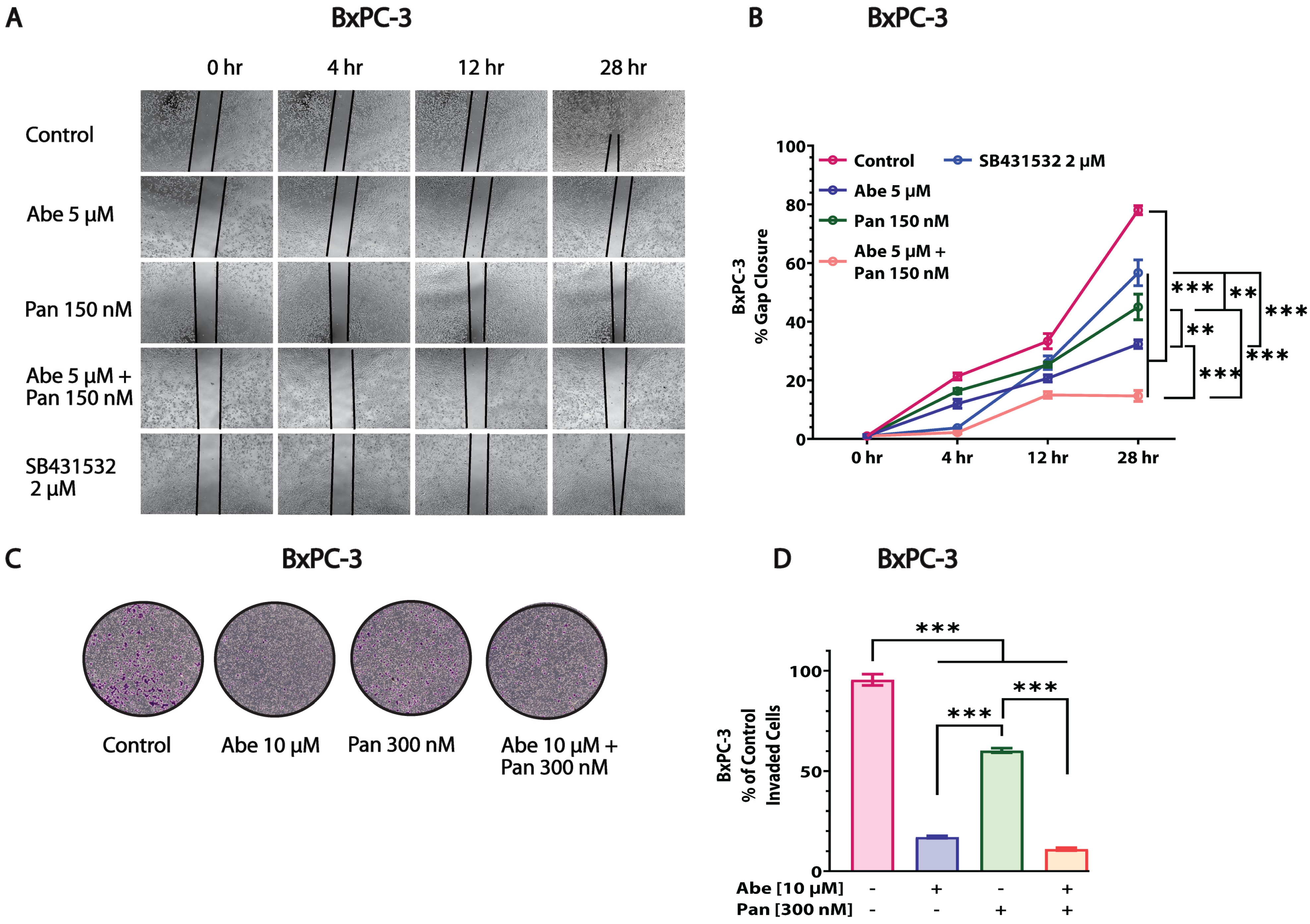 Cancers 16 02713 g005