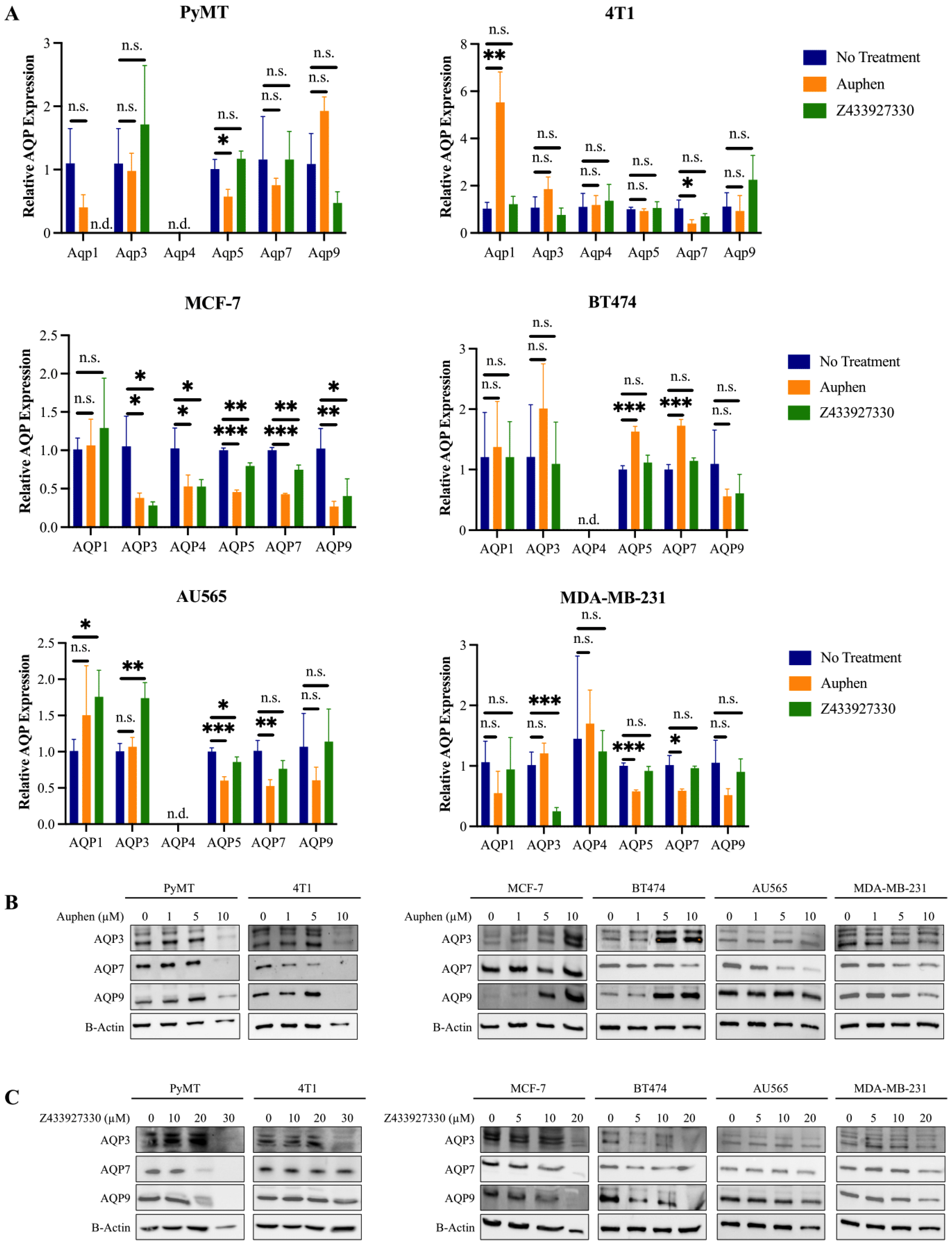 Cancers 16 02714 g002 Cancers 16 02714 g002