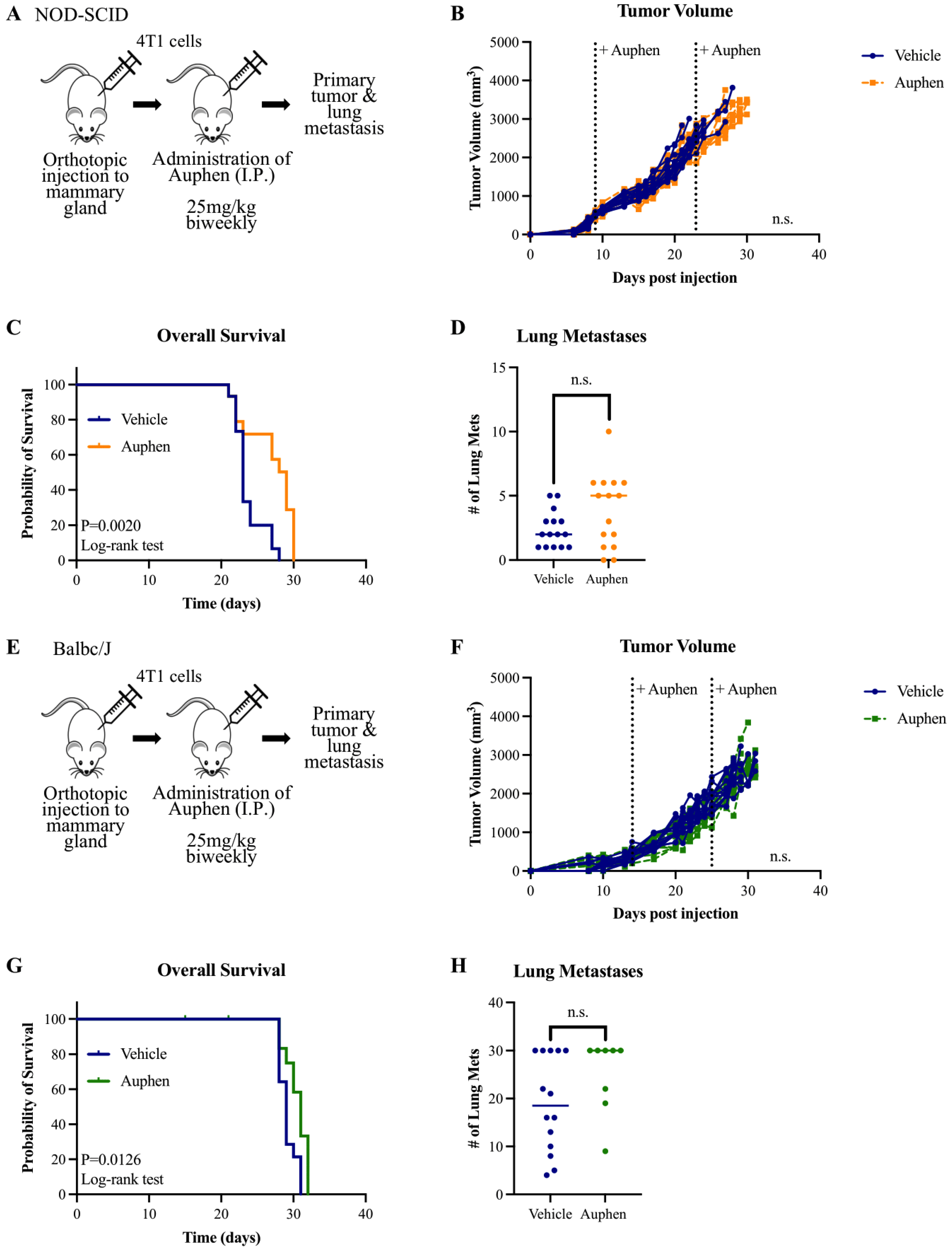 Cancers 16 02714 g003 Cancers 16 02714 g003