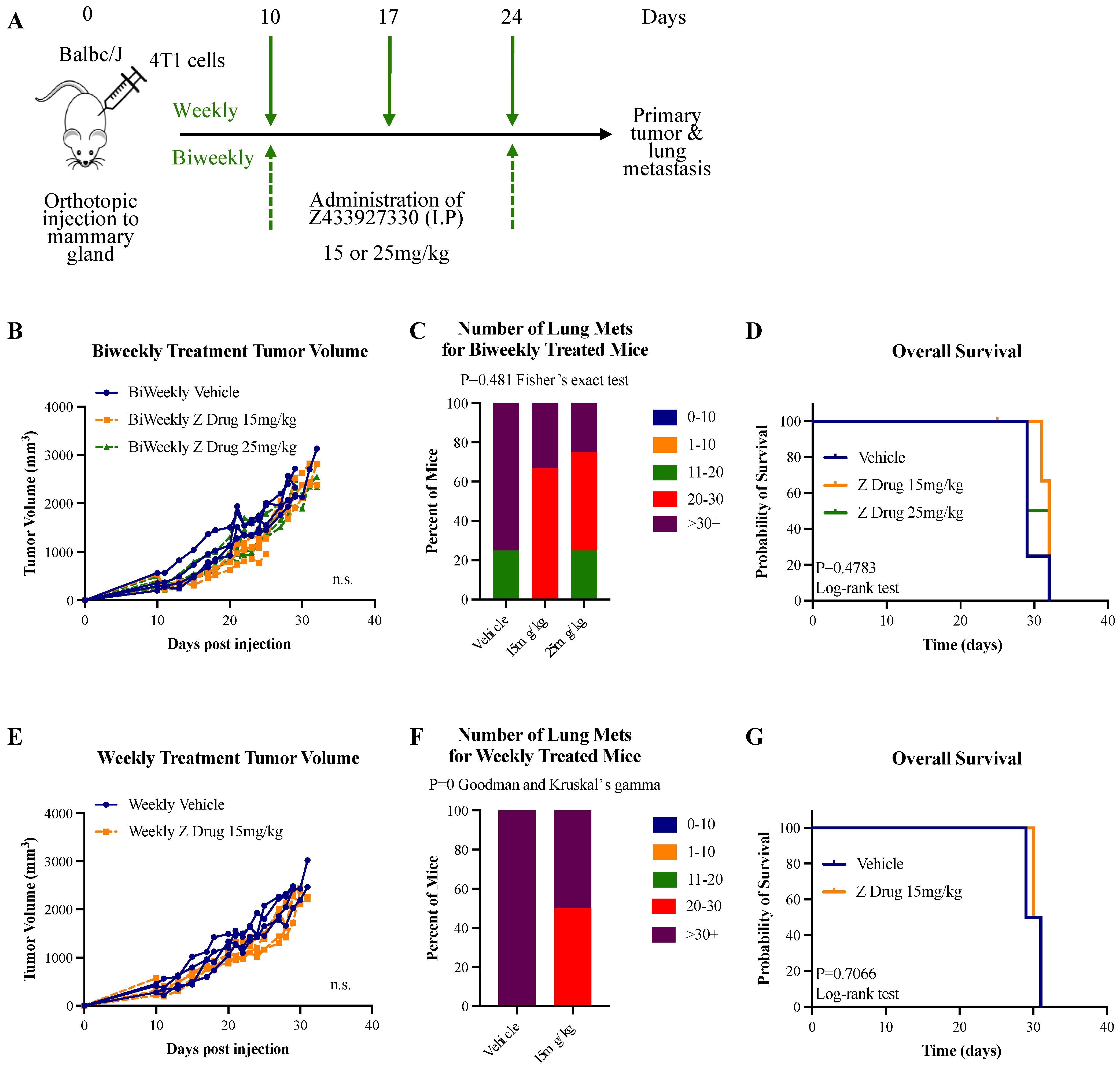 Cancers 16 02714 g004 Cancers 16 02714 g004