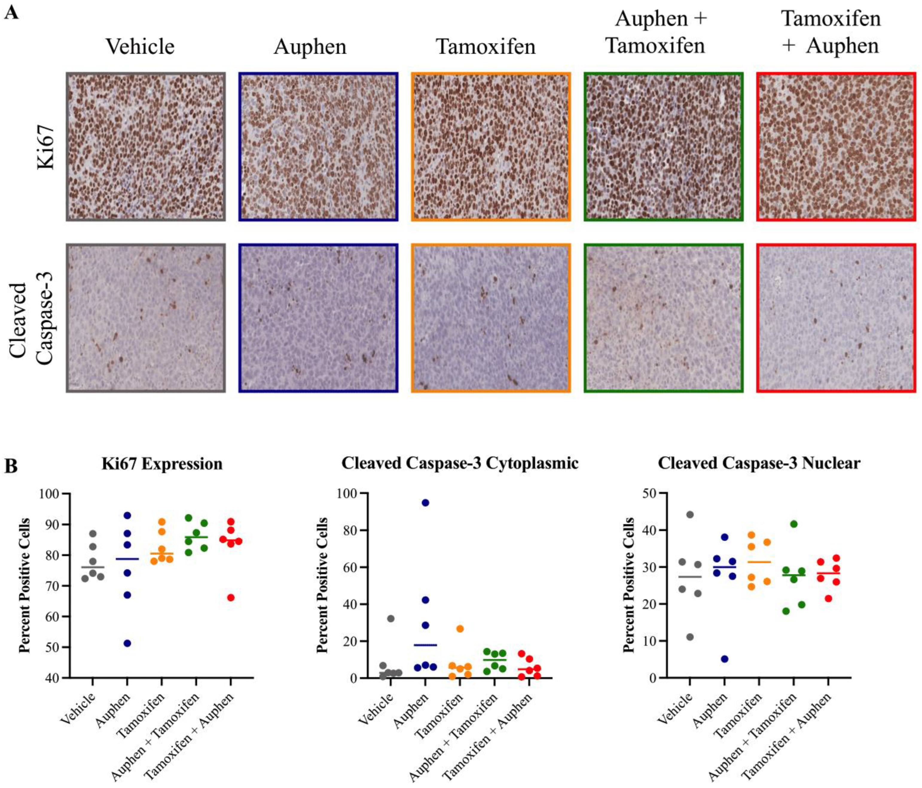 Cancers 16 02714 g007 Cancers 16 02714 g007