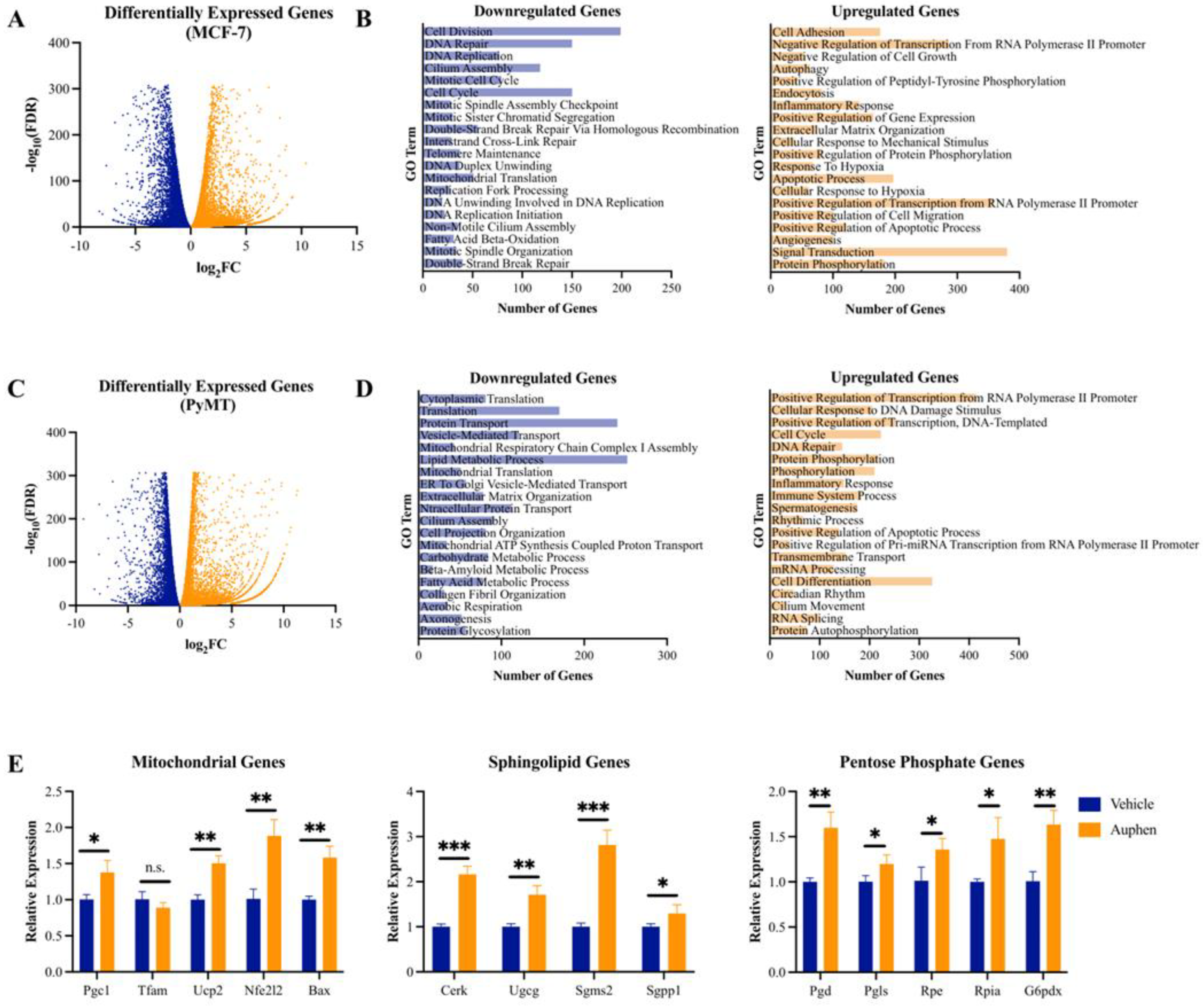 Cancers 16 02714 g008 Cancers 16 02714 g008