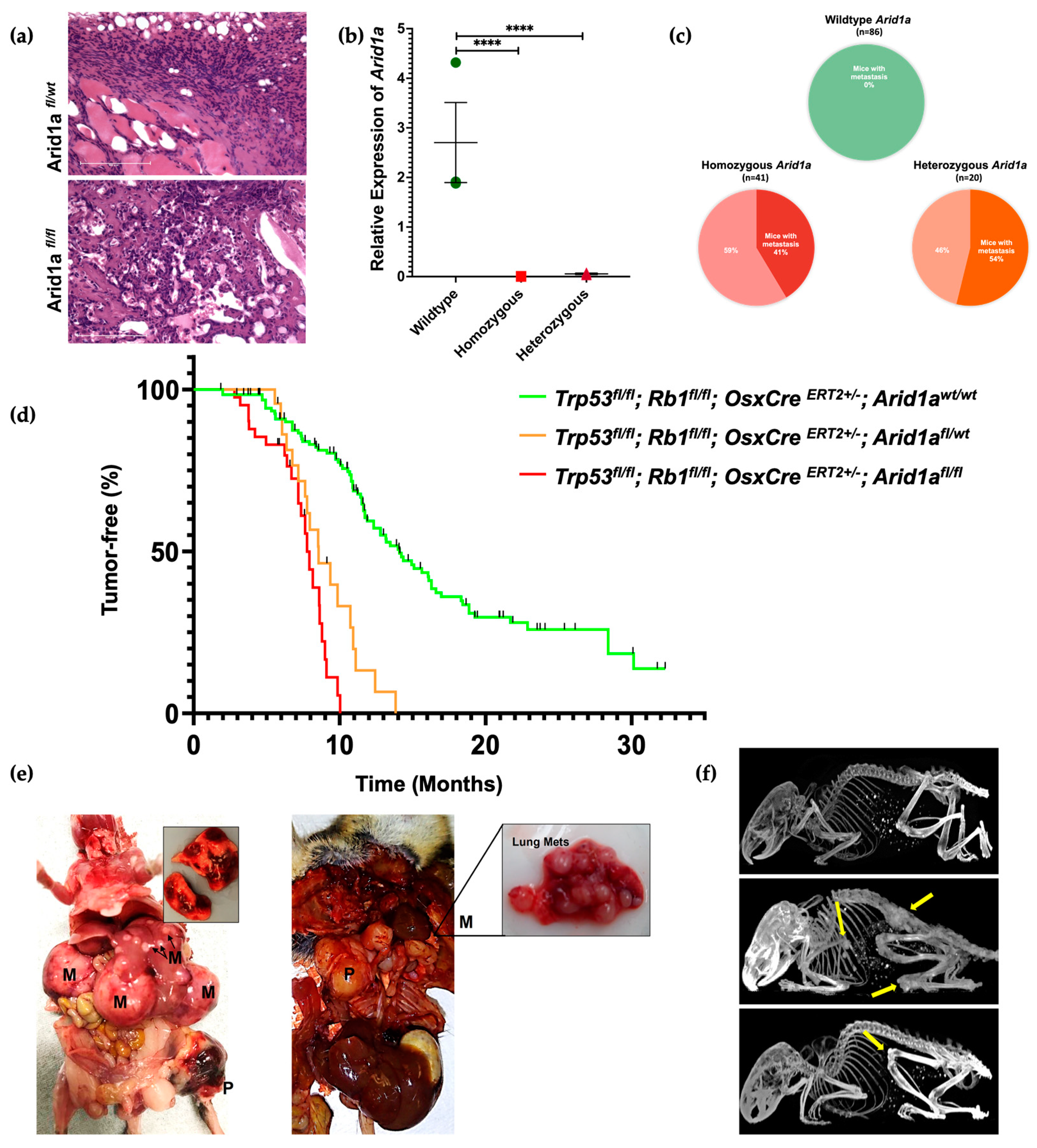 Cancers 16 02725 g002