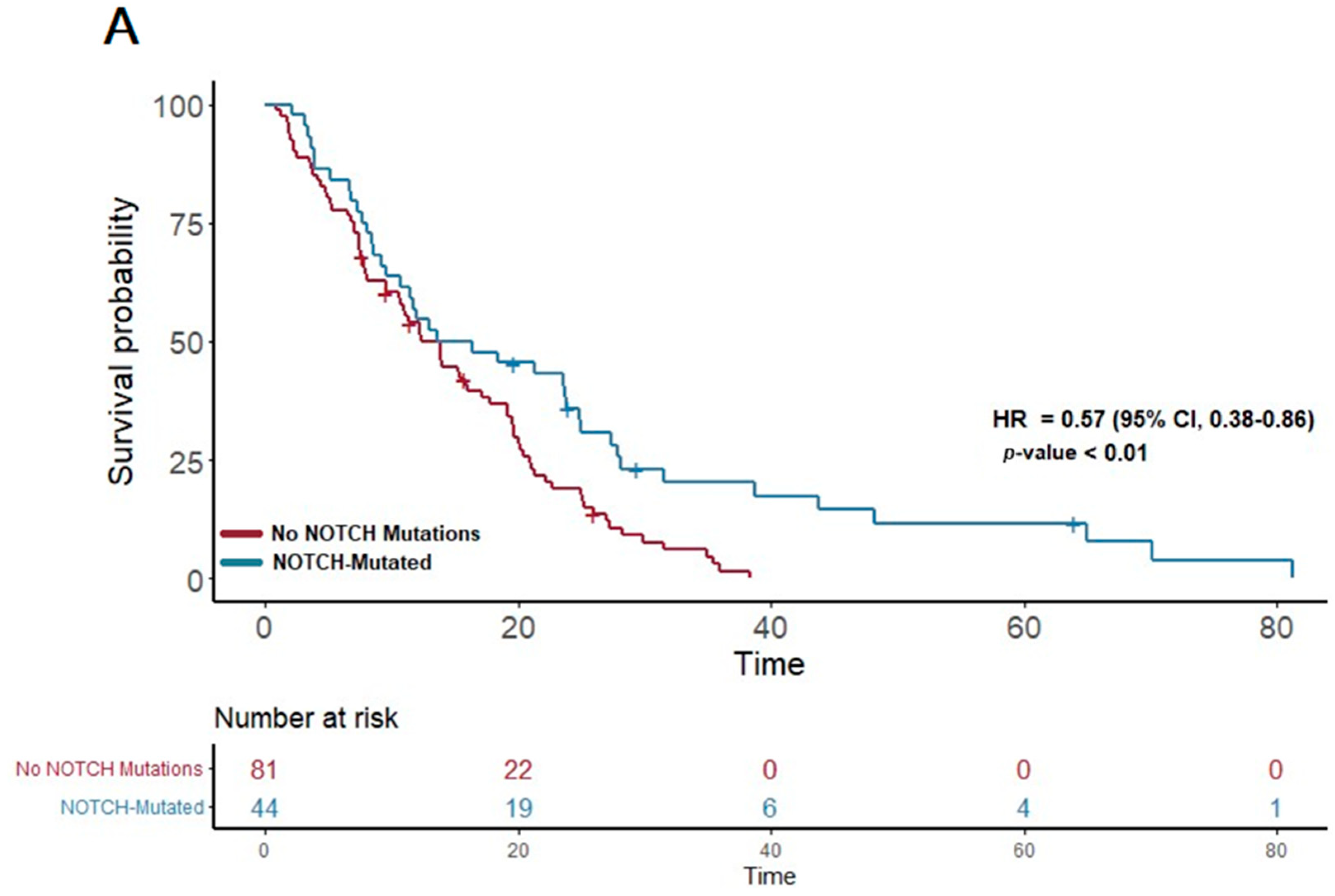 Cancers 16 02734 g001a