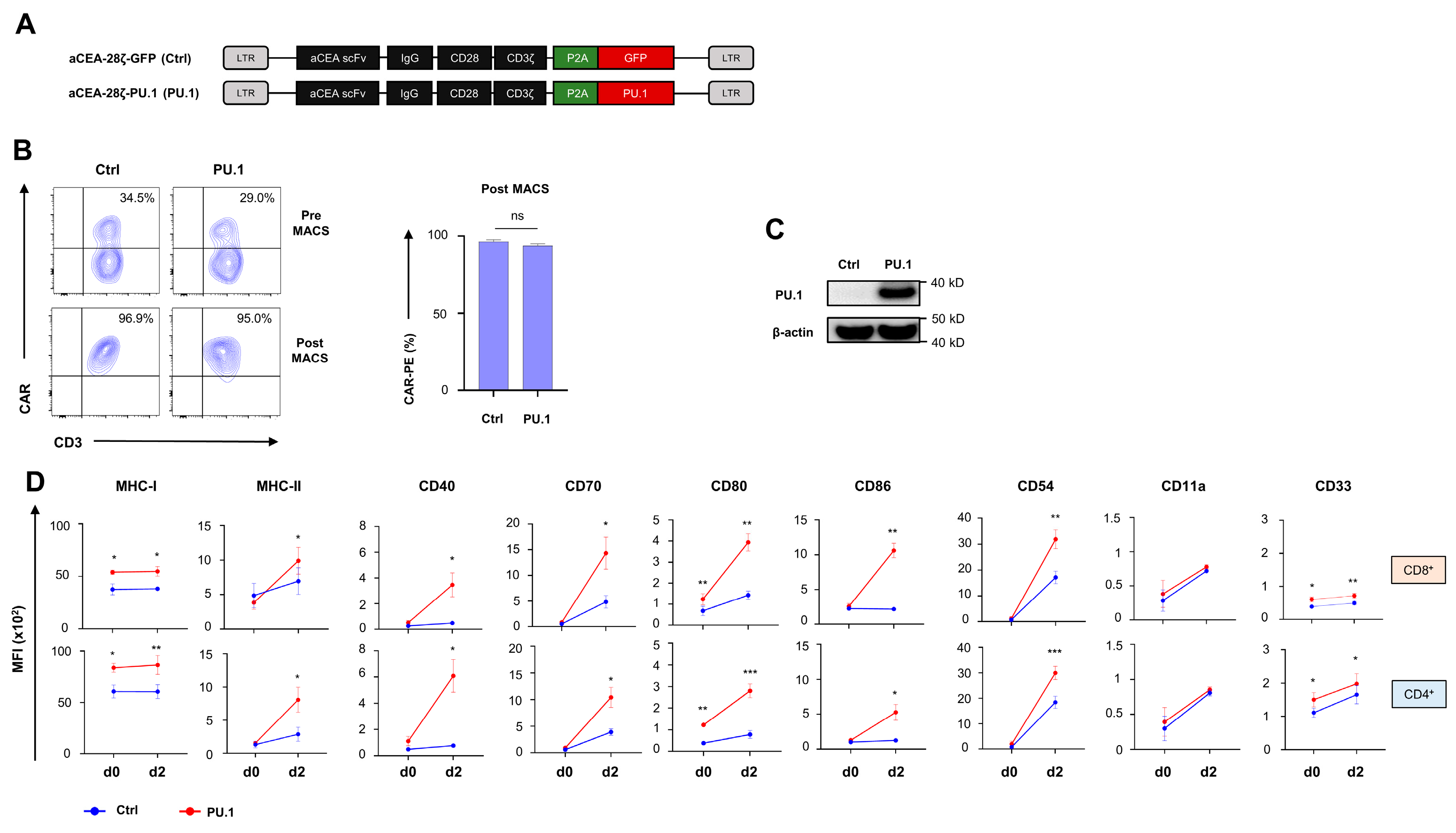 Cancers 16 02737 g001