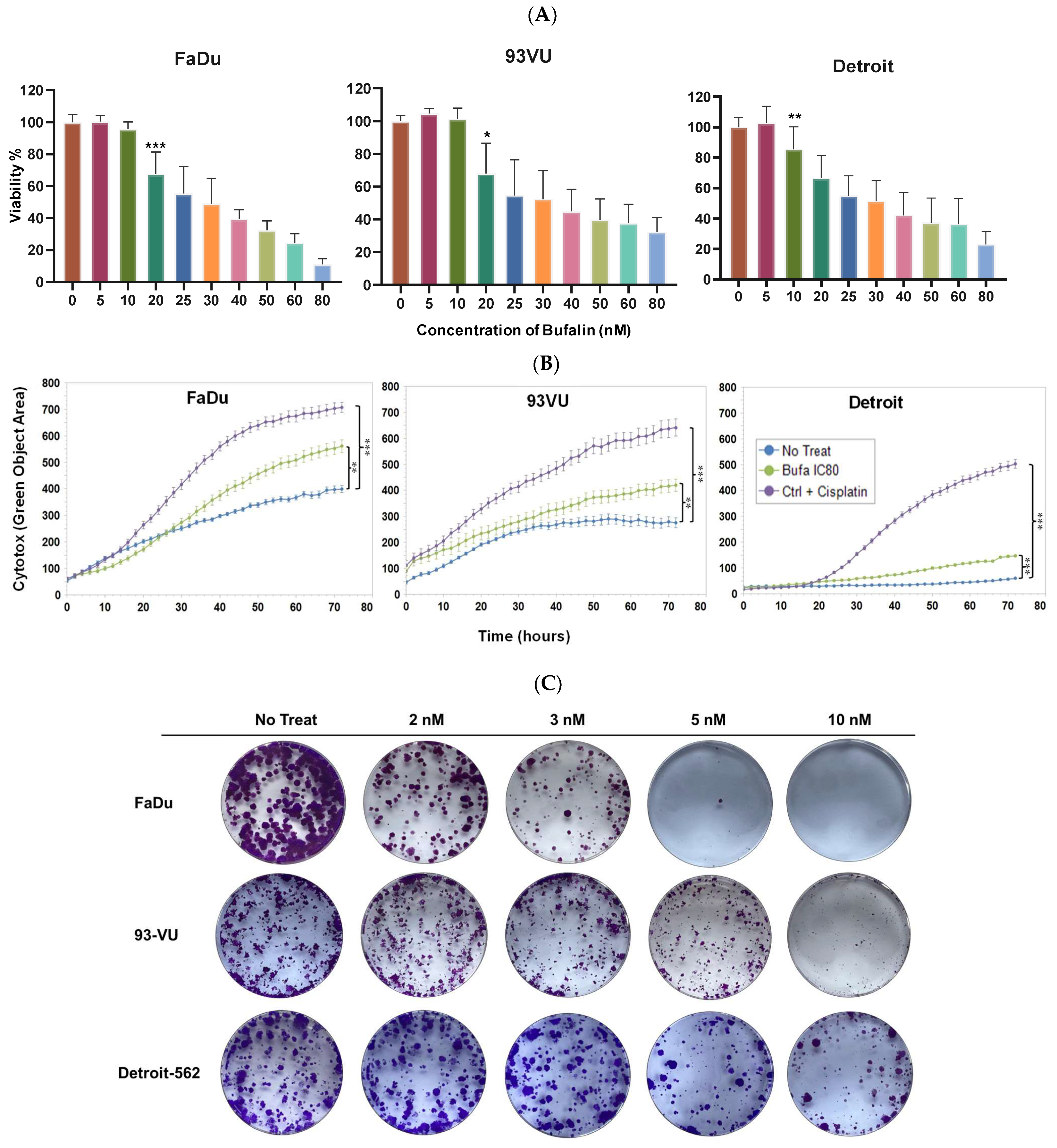 Cancers 16 02739 g001
