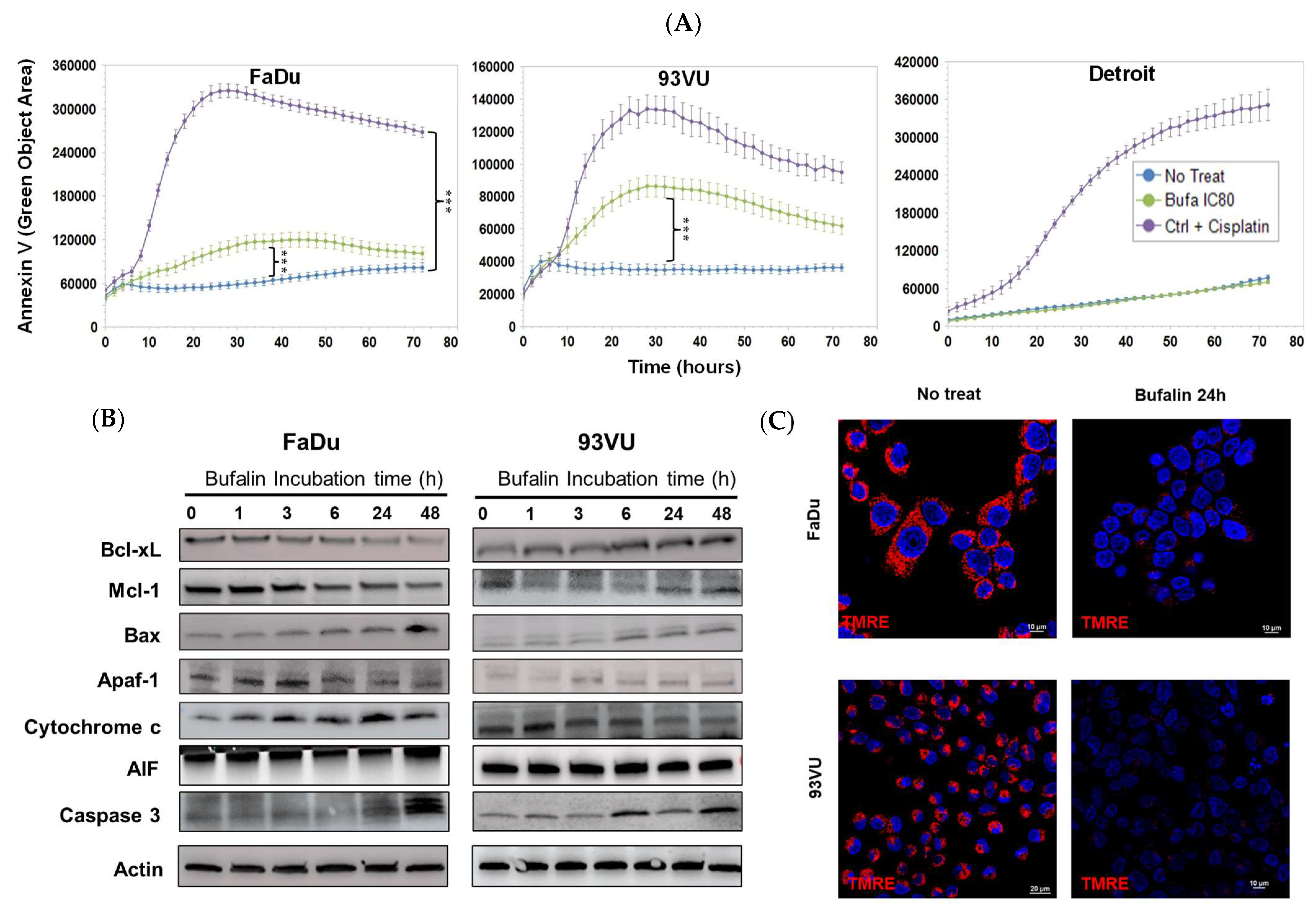 Cancers 16 02739 g002