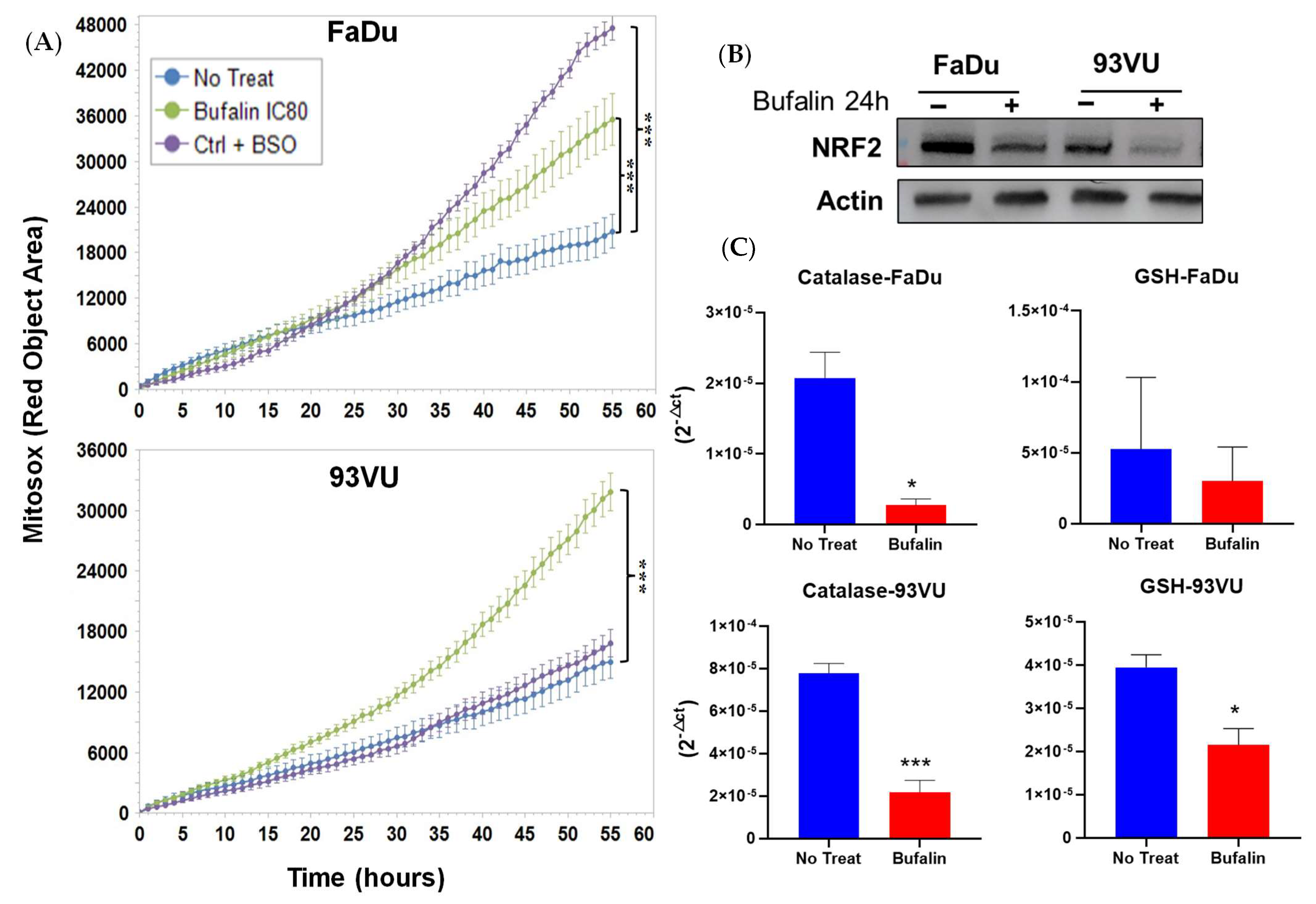 Cancers 16 02739 g003