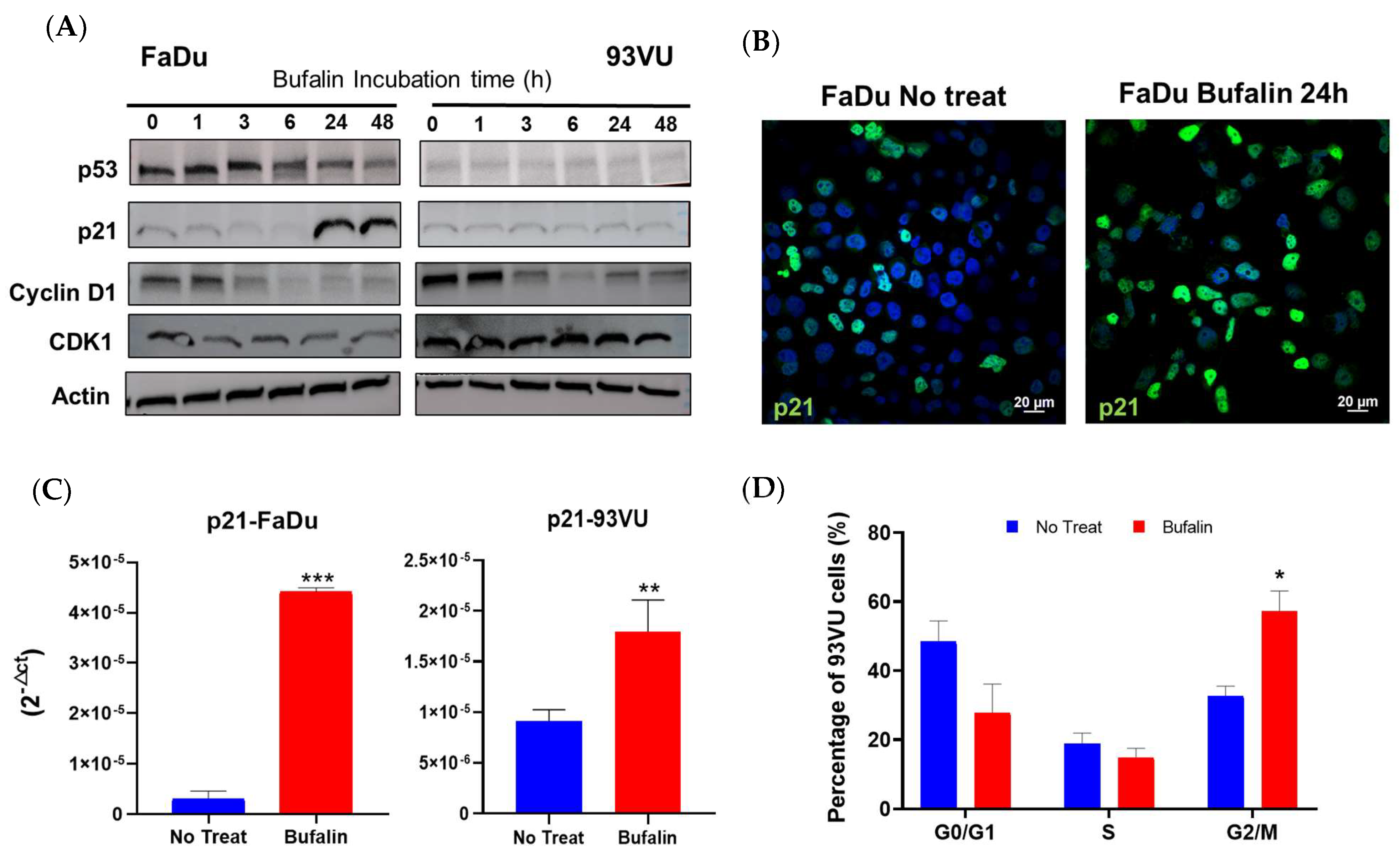 Cancers 16 02739 g004