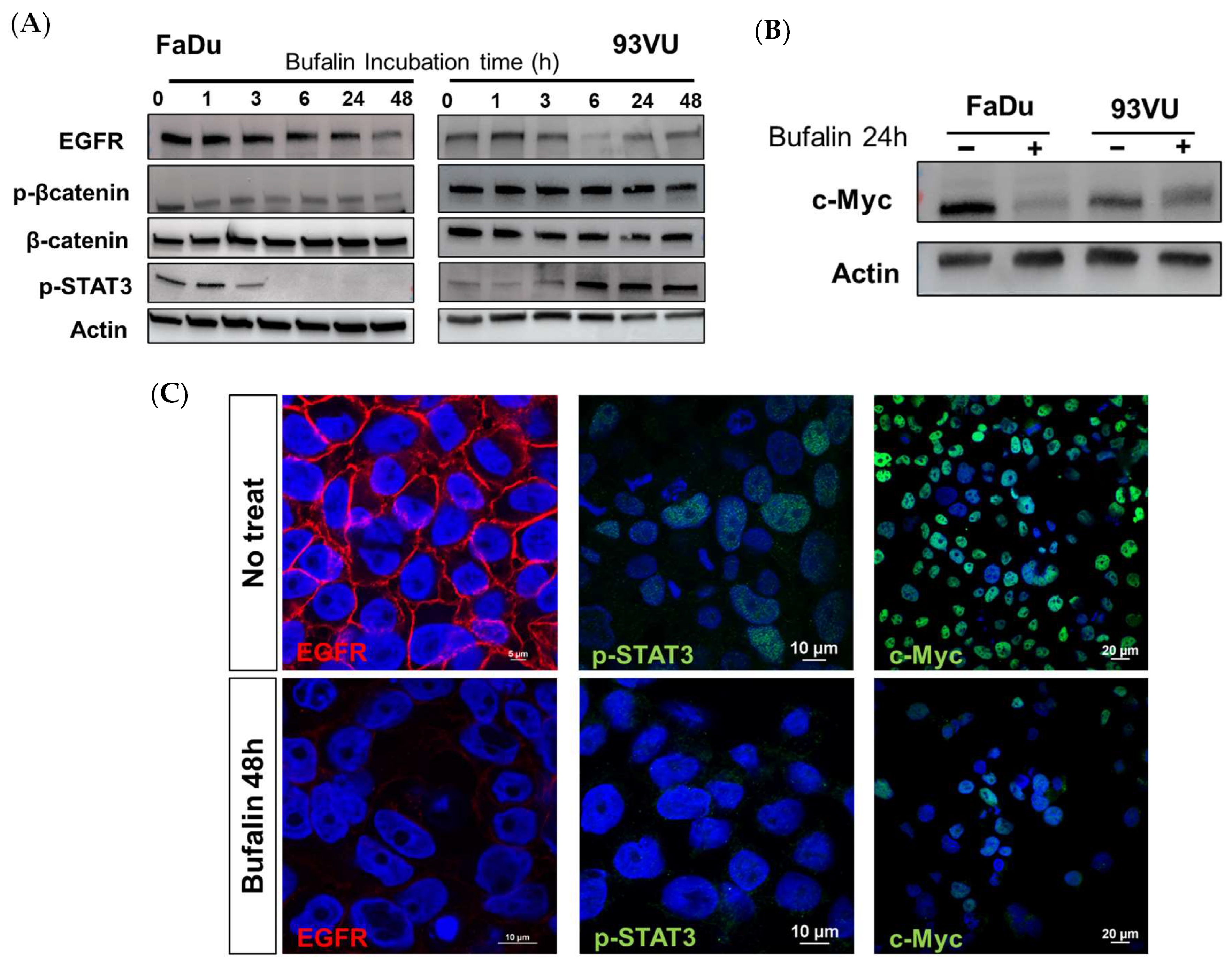 Cancers 16 02739 g006