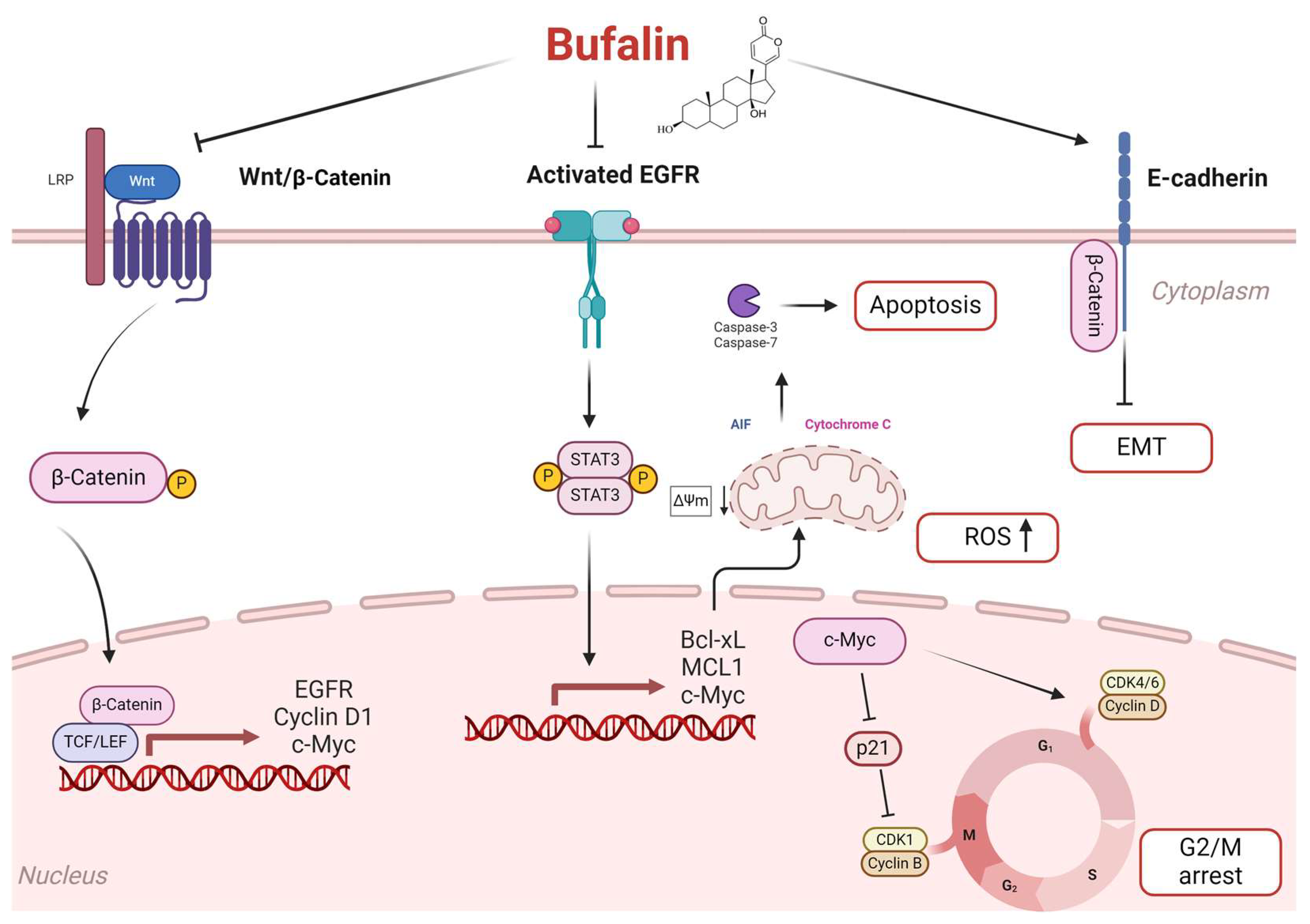 Cancers 16 02739 g008