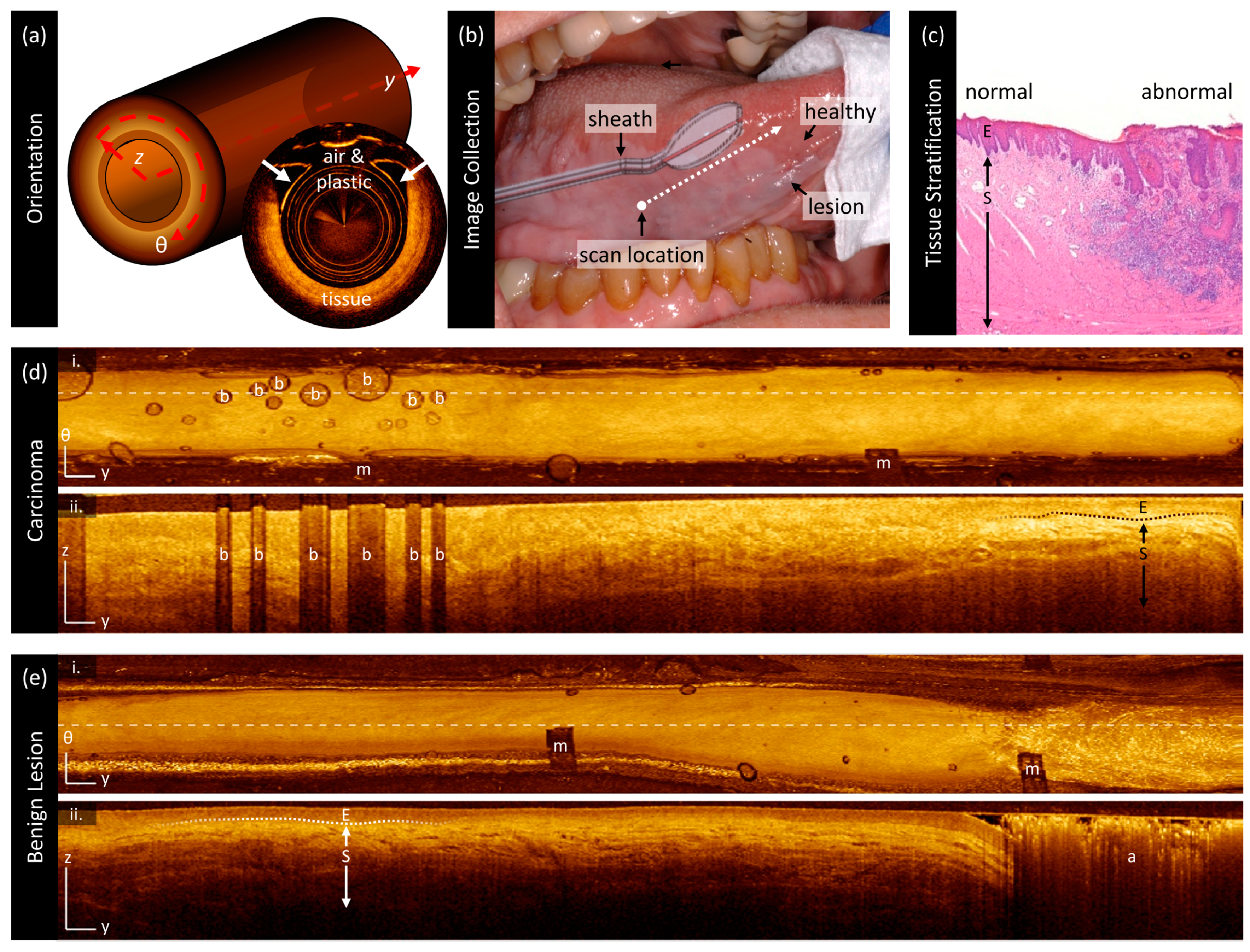 Cancers 16 02751 g002